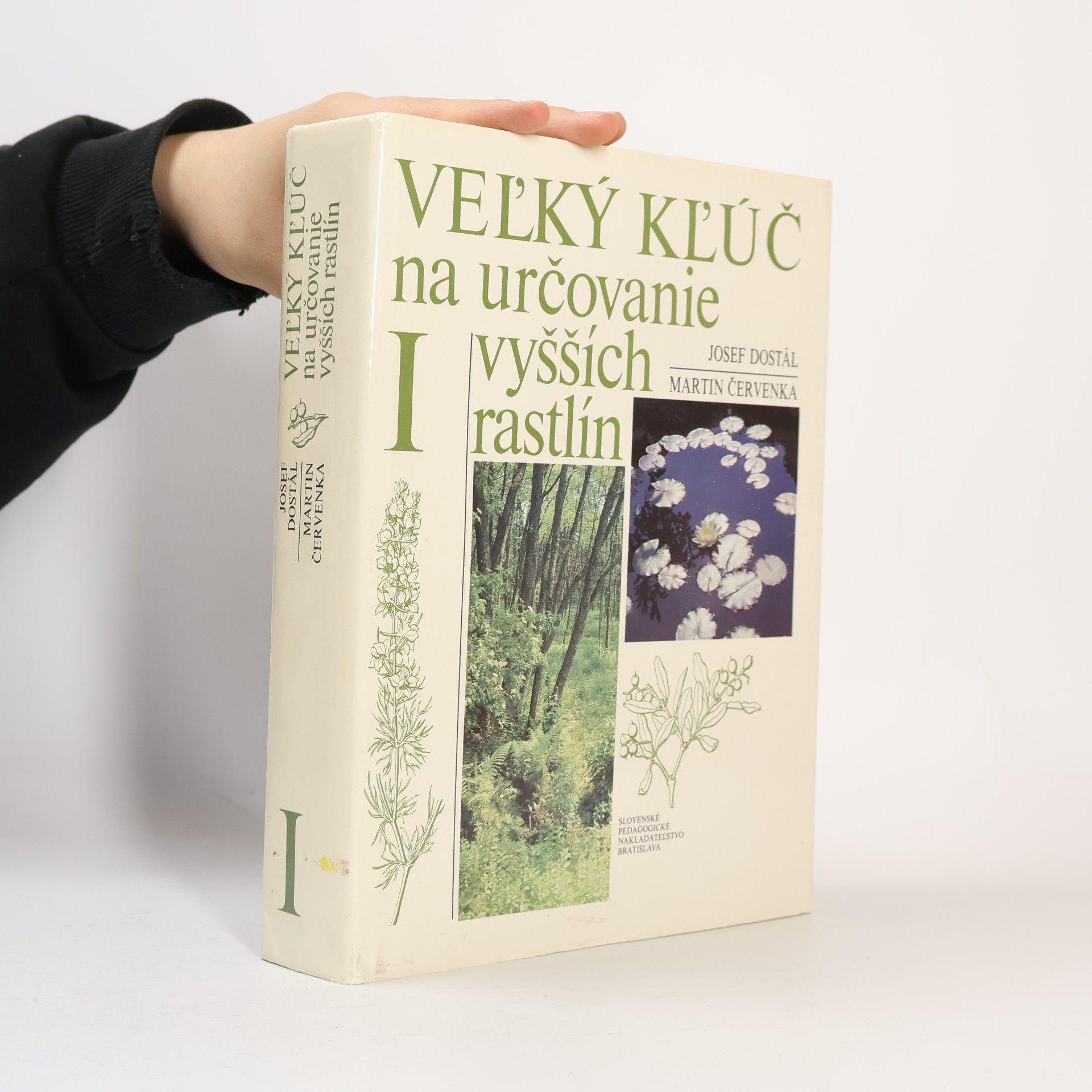 Veľký kľúč na určovanie vyšších rastlín I.