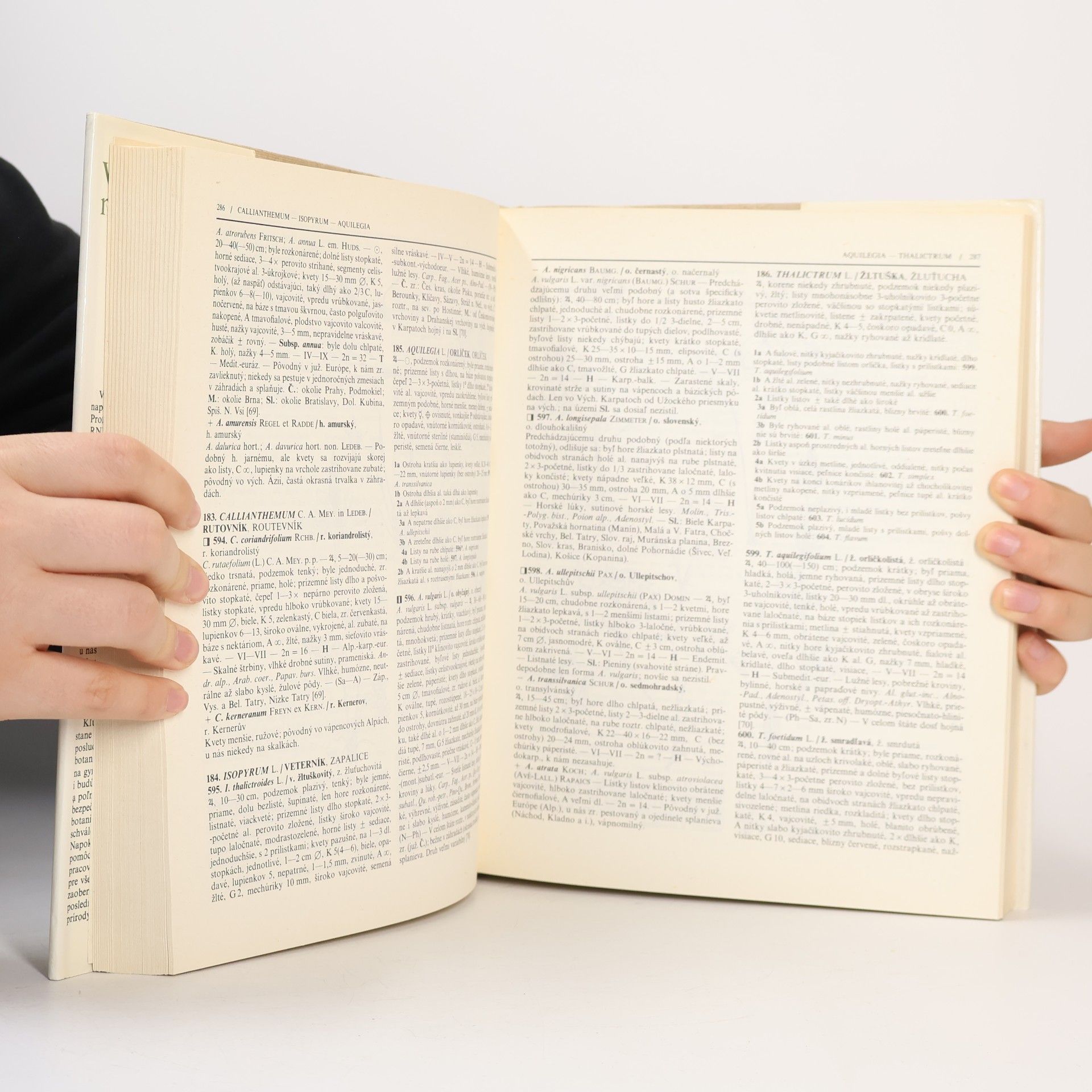 Josef Dostál Veľký kľúč na určovanie vyšších rastlín I.