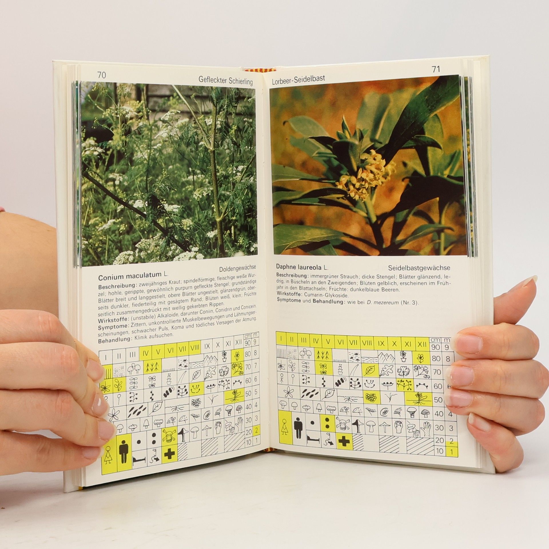 Lucia Woodward Giftpflanzen in Wald, Feld, Garten und Haus