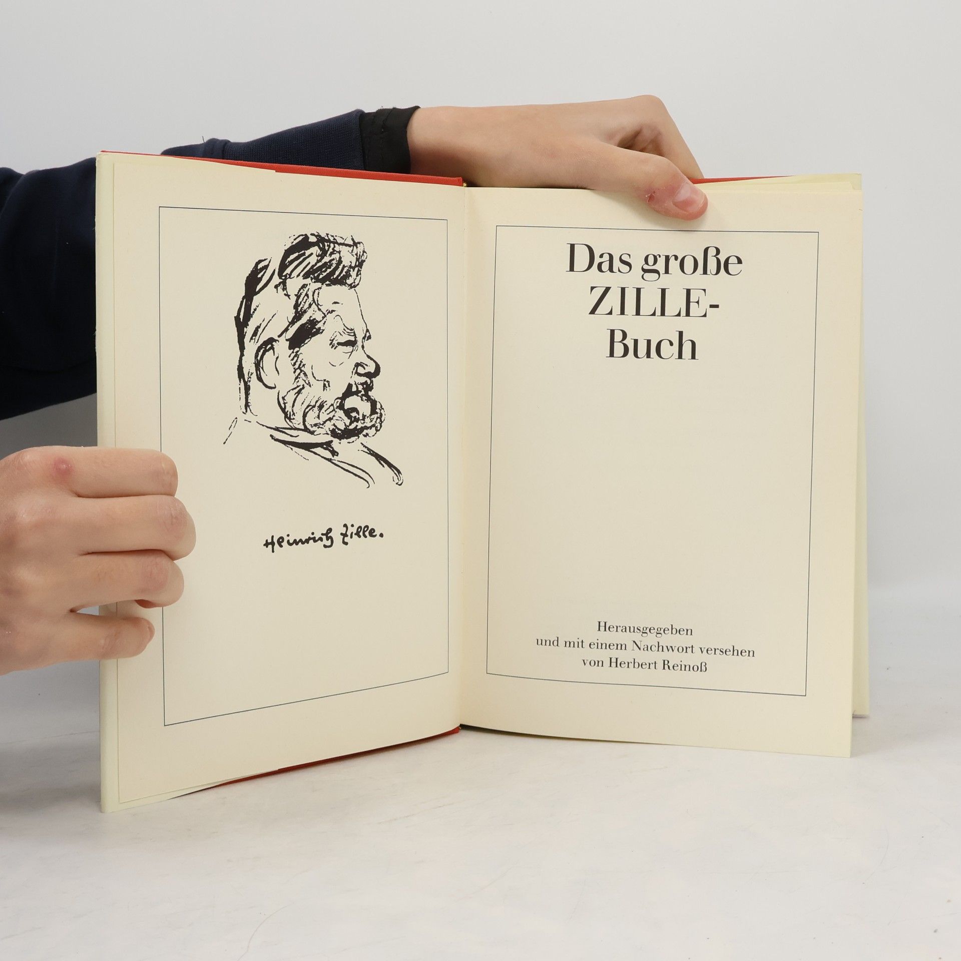 Heinrich Zille Das große Zille Buch