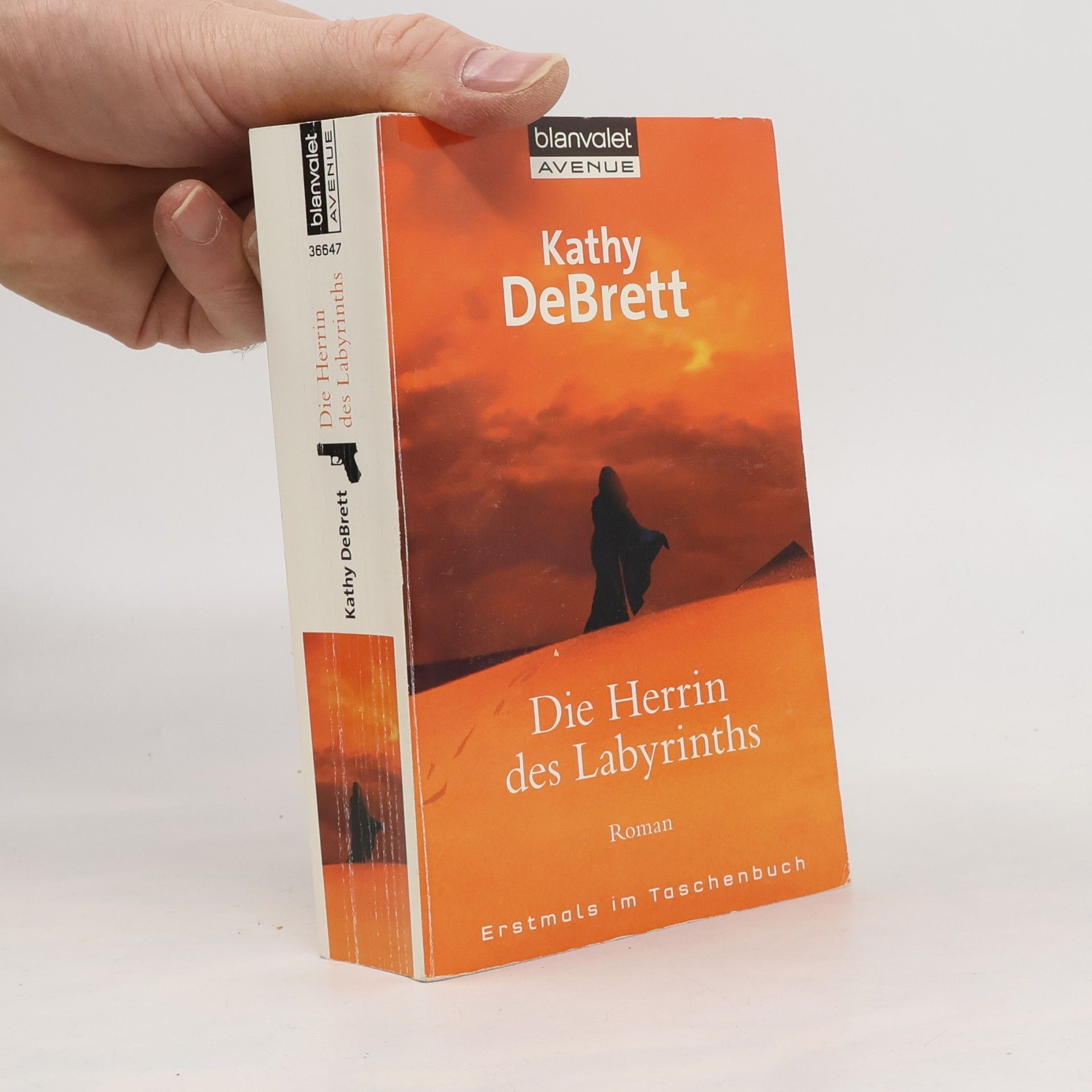 Die Herrin des Labyrinths