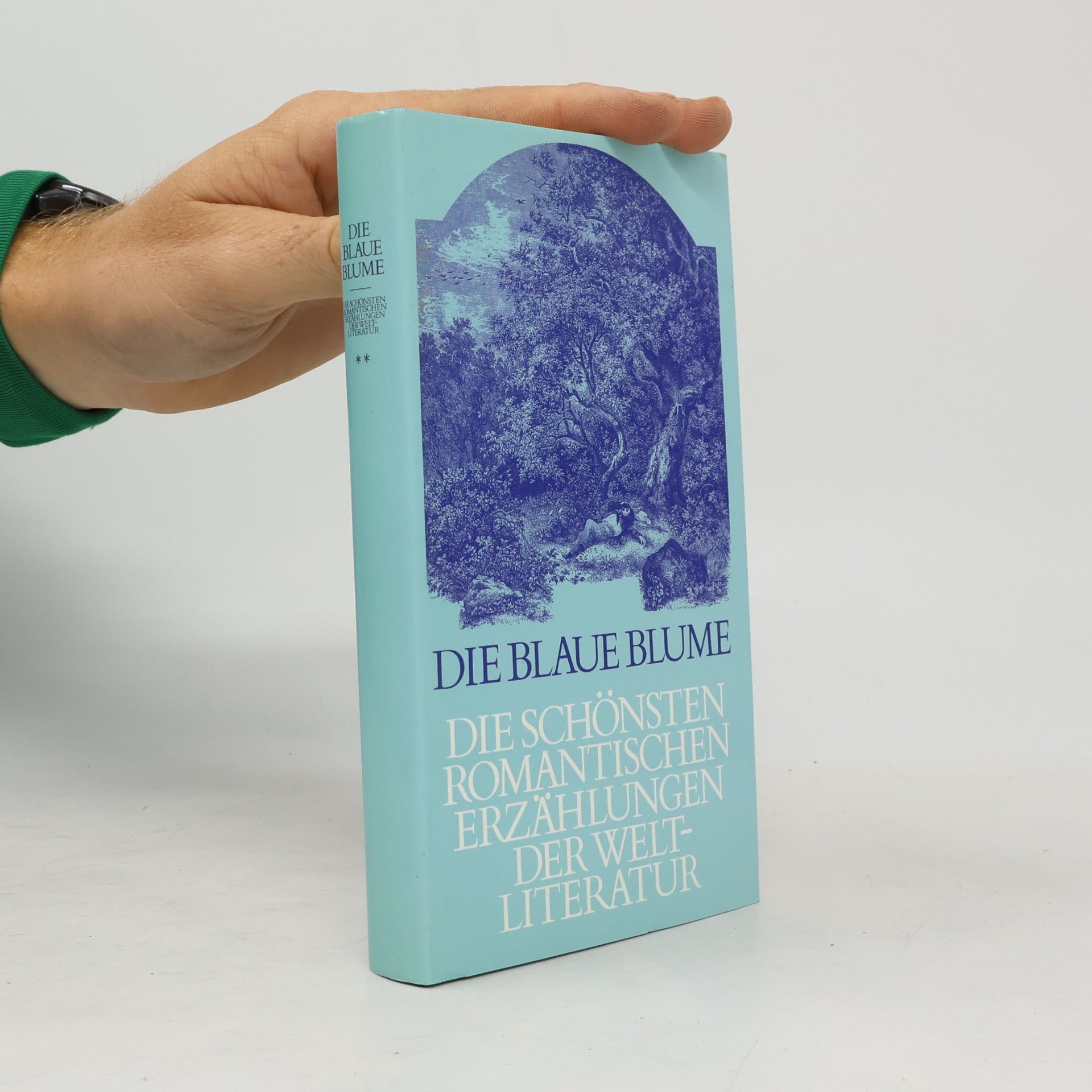 Auteurscollectief Die blaue Blume