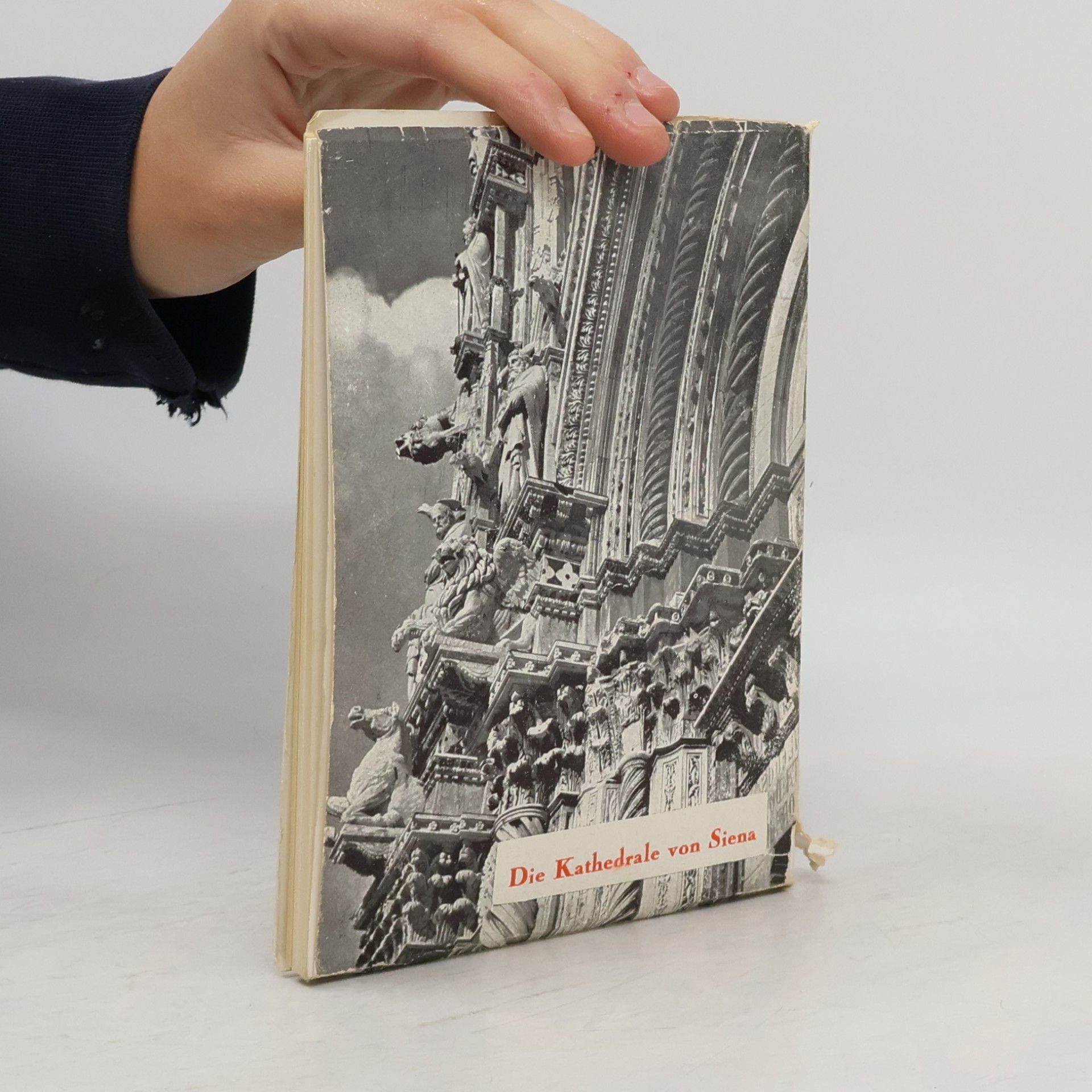 Aldo Lusini Die Kathedrale von Siena