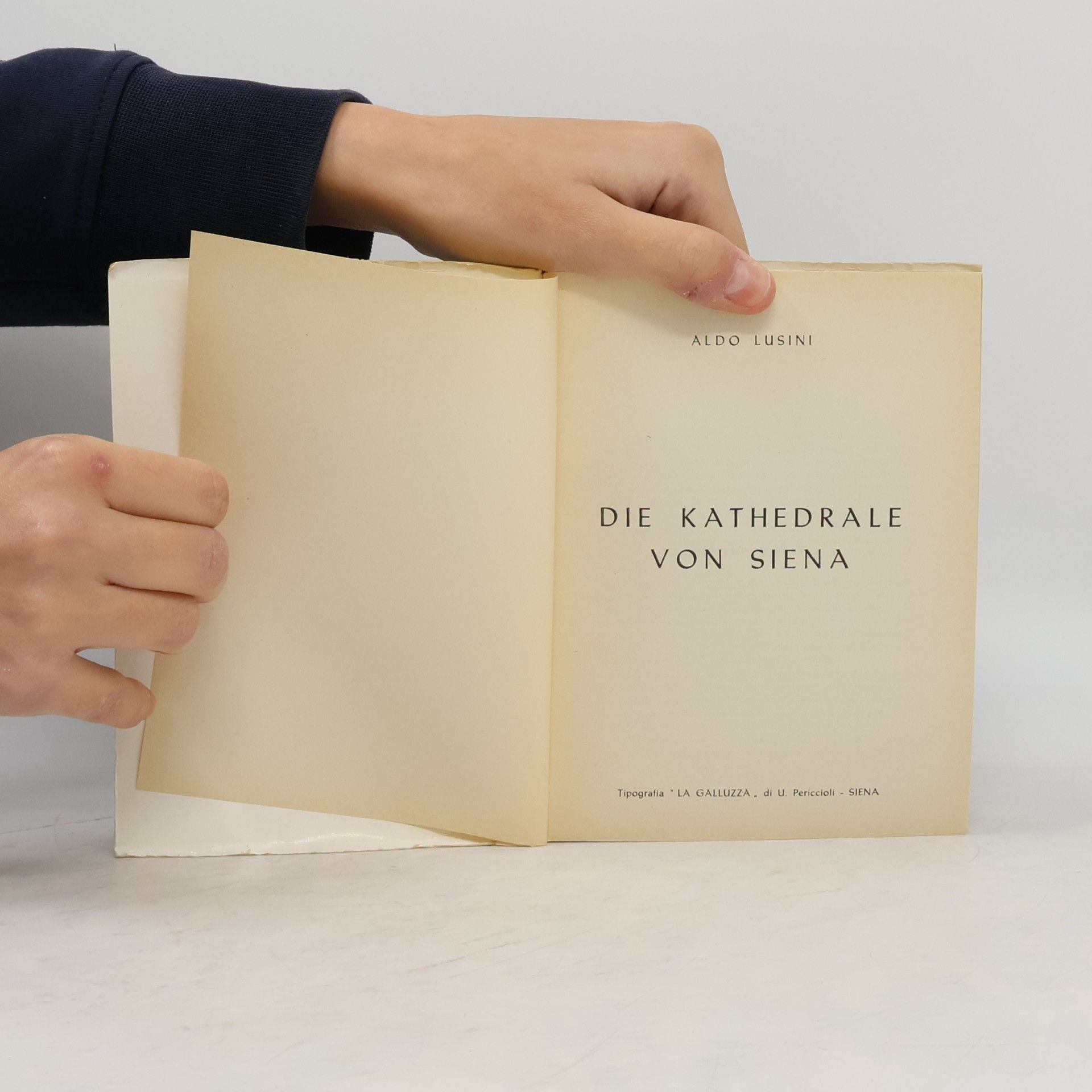 Aldo Lusini Die Kathedrale von Siena