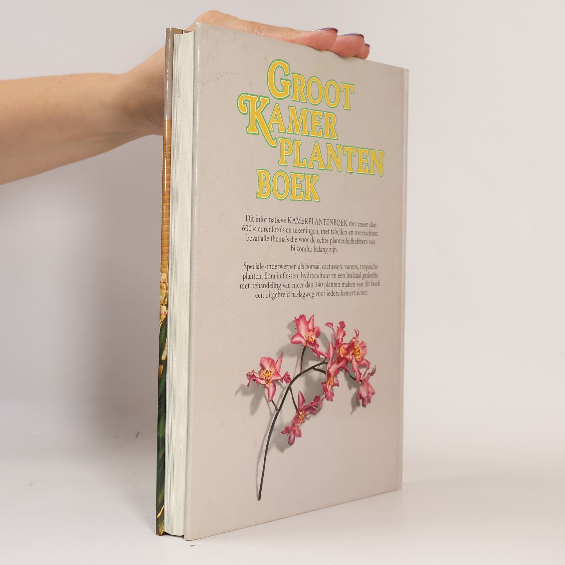 Ad Dams Groot kamerplanten boek