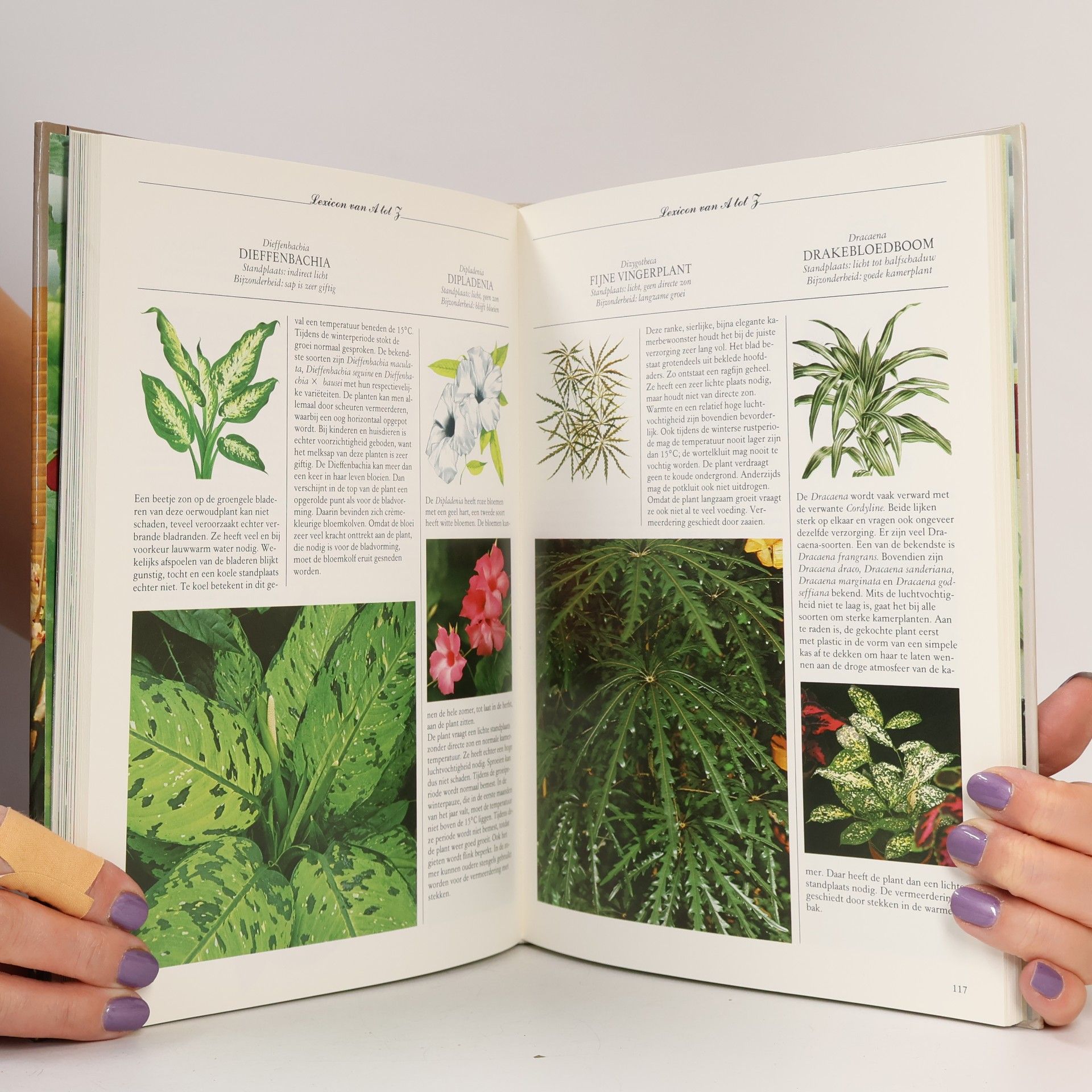 Ad Dams Groot kamerplanten boek