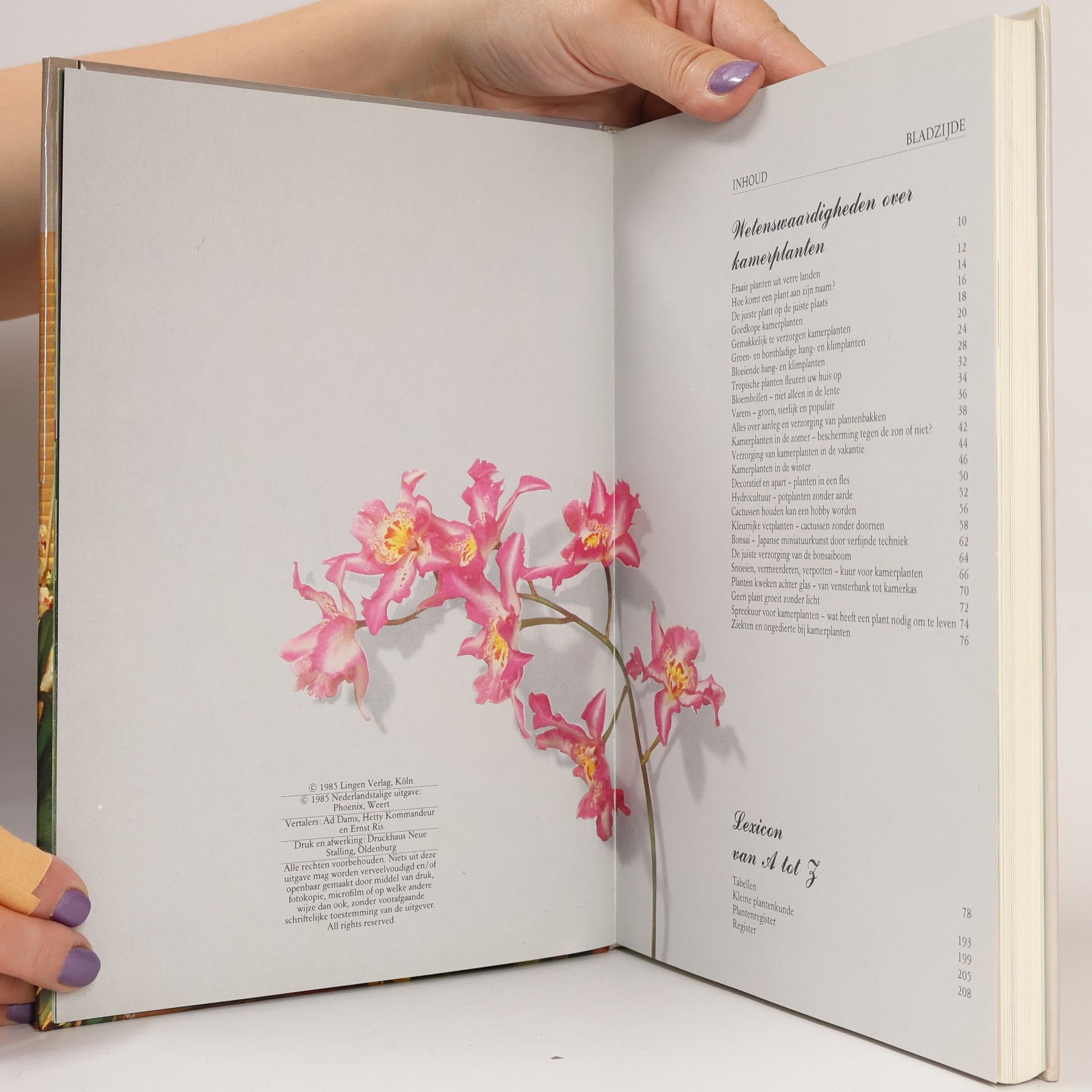 Ad Dams Groot kamerplanten boek