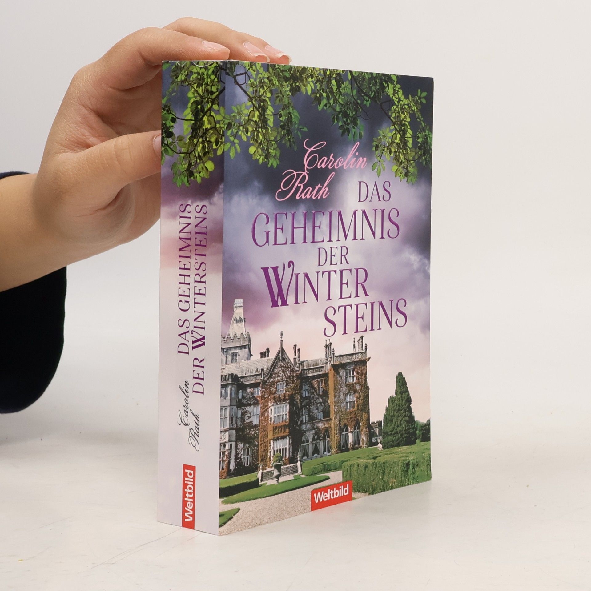 Das Geheimnis der Wintersteins