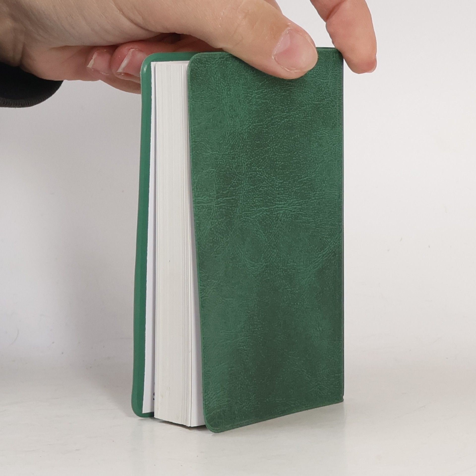 kolektiv Bibel