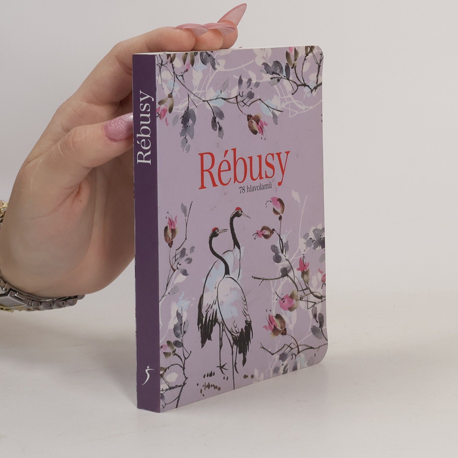 Rébusy : 78 hlavolamů do kapsy