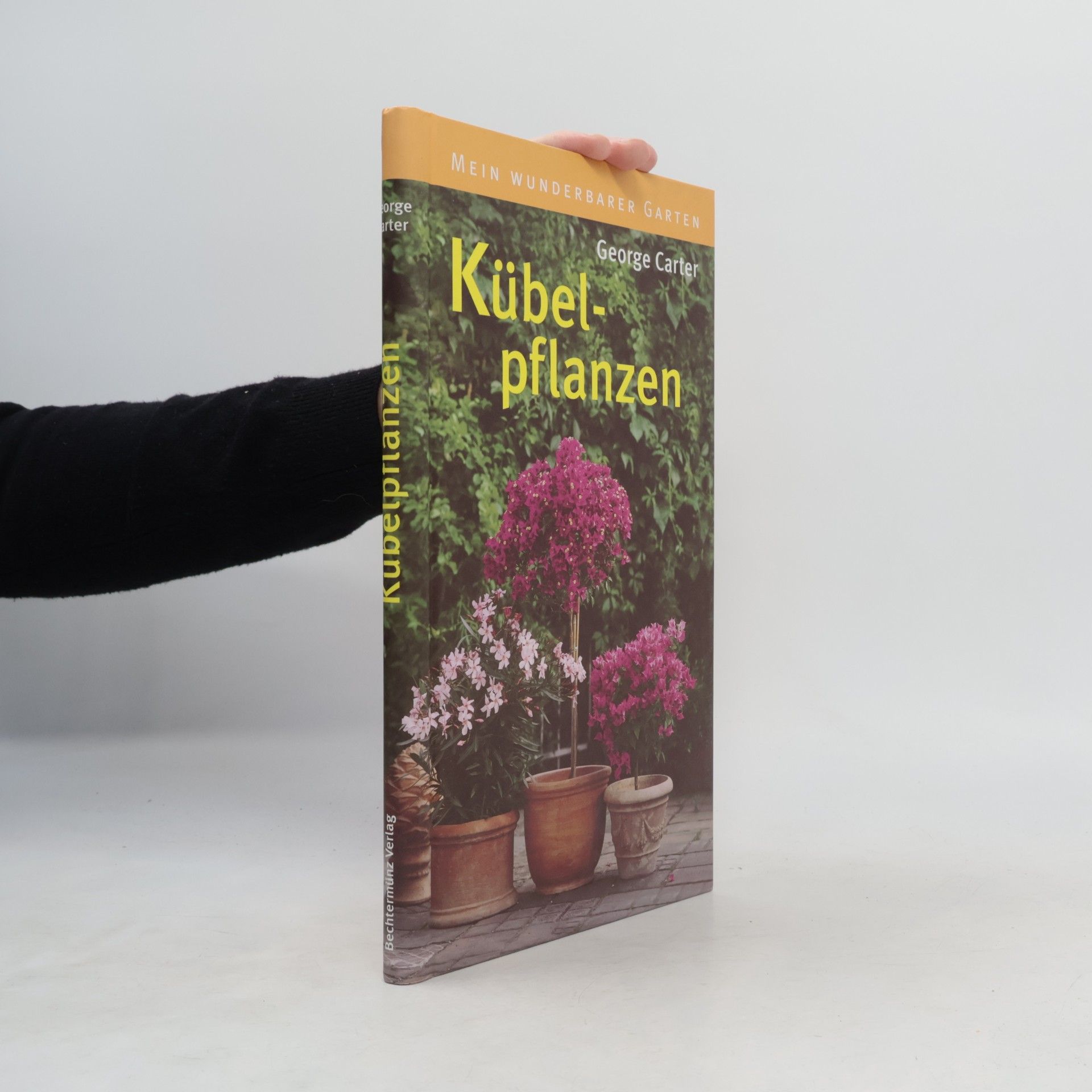 Kübelpflanzen