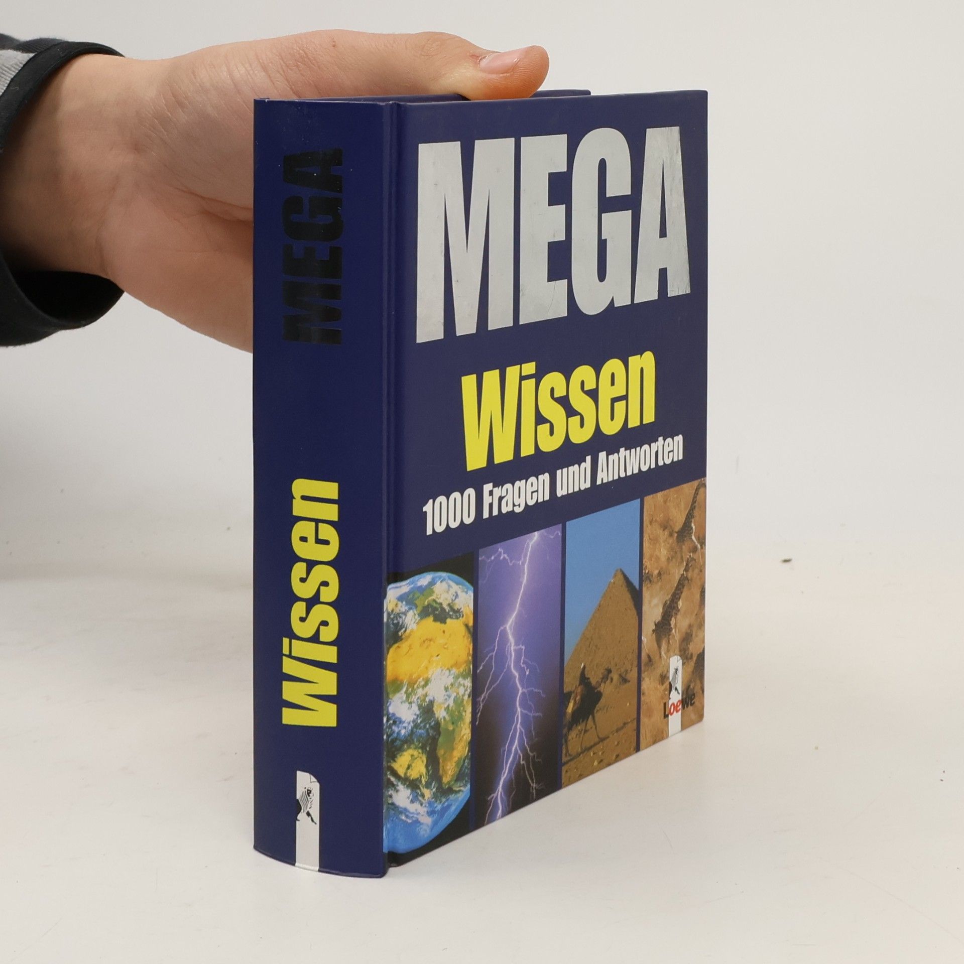 Mega-Wissen
