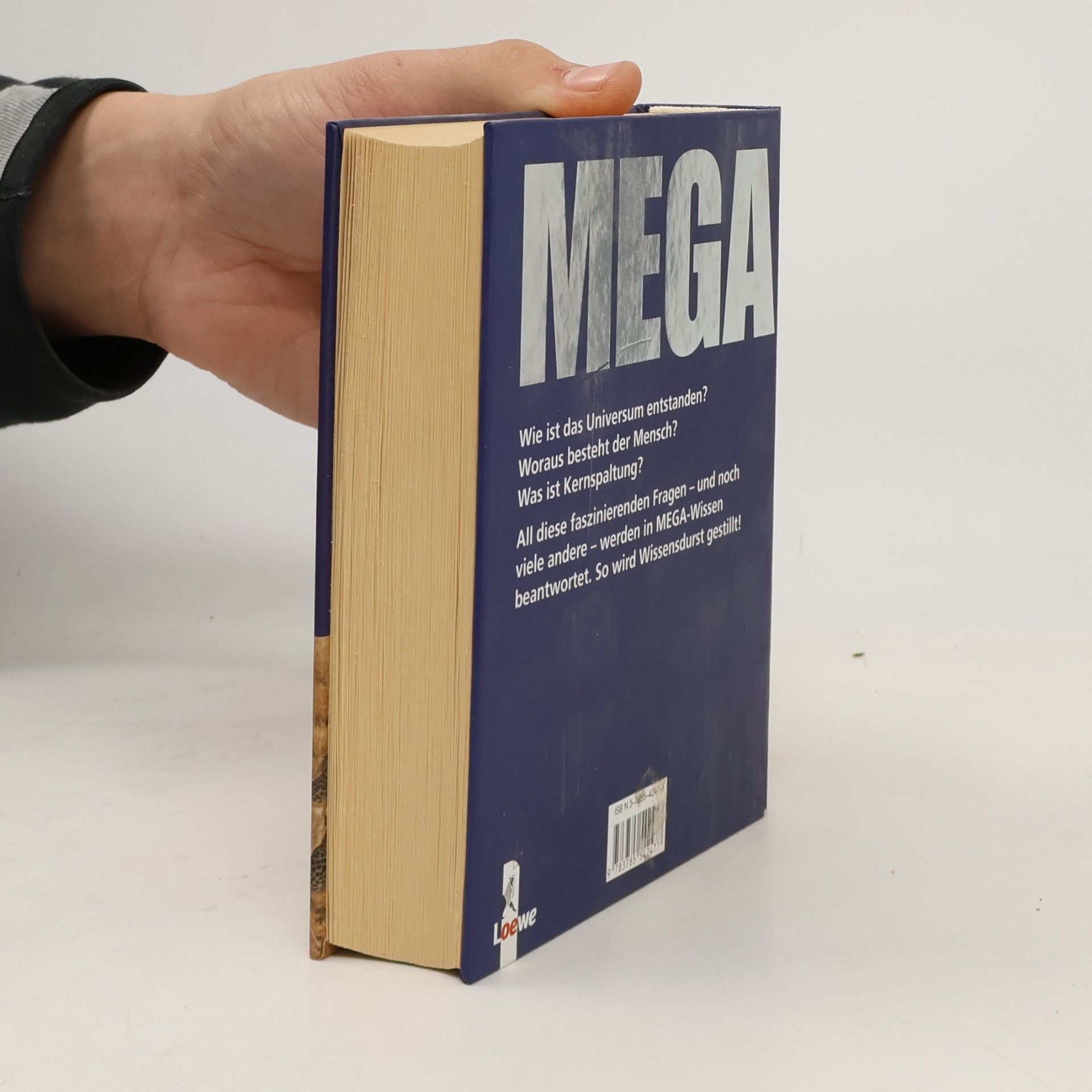 Nikolaus Lenz Mega-Wissen