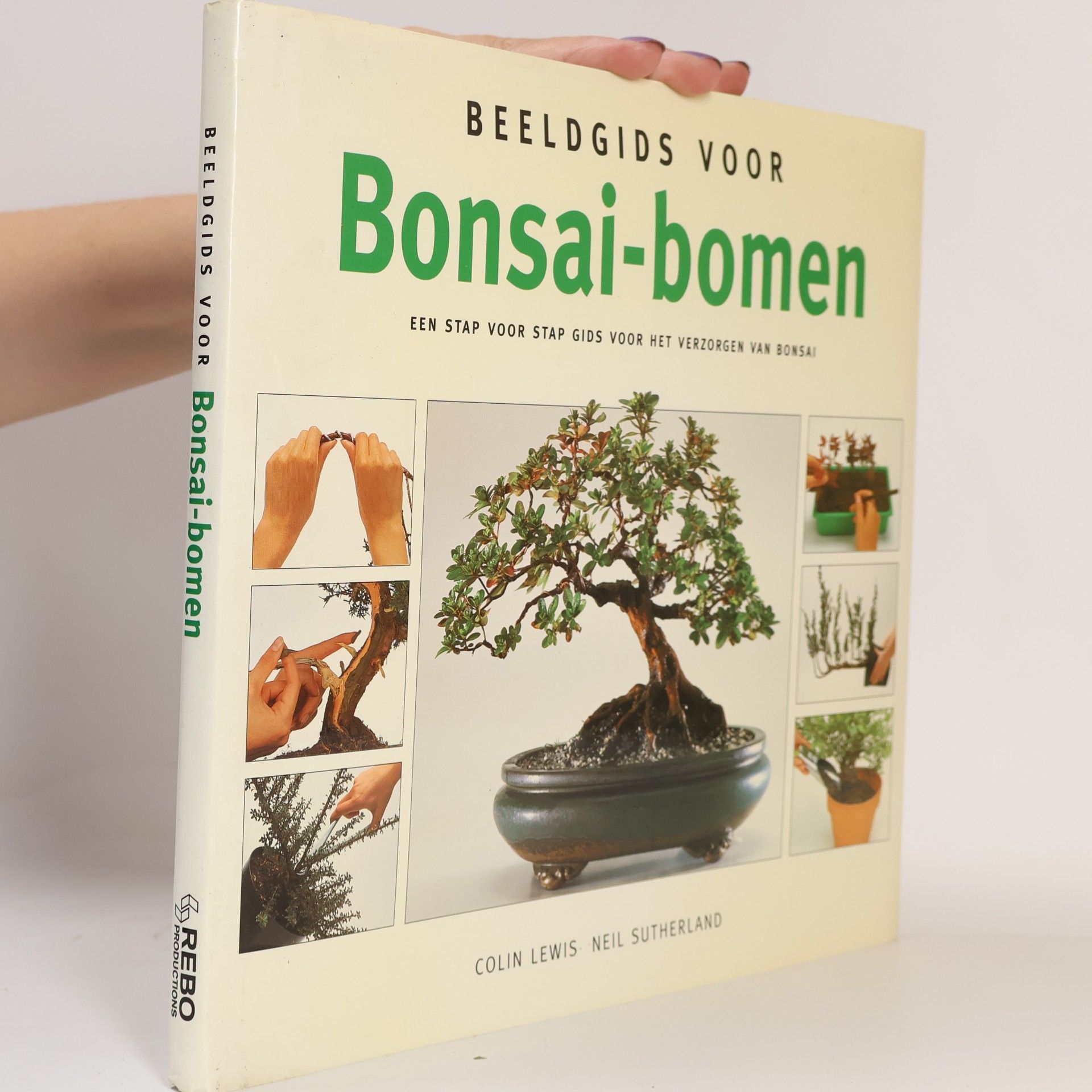 Beeldgids voor Bonsai-bomen