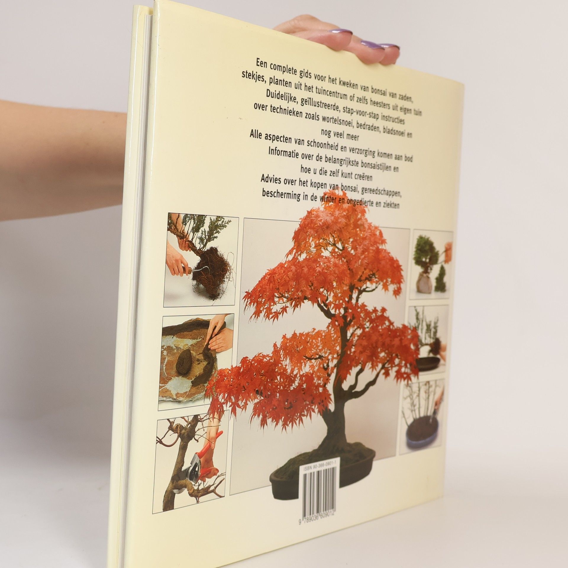 Colin Lewis Beeldgids voor Bonsai-bomen