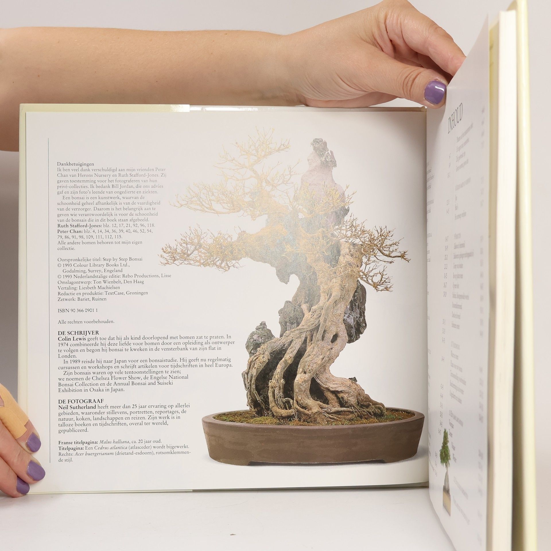 Colin Lewis Beeldgids voor Bonsai-bomen