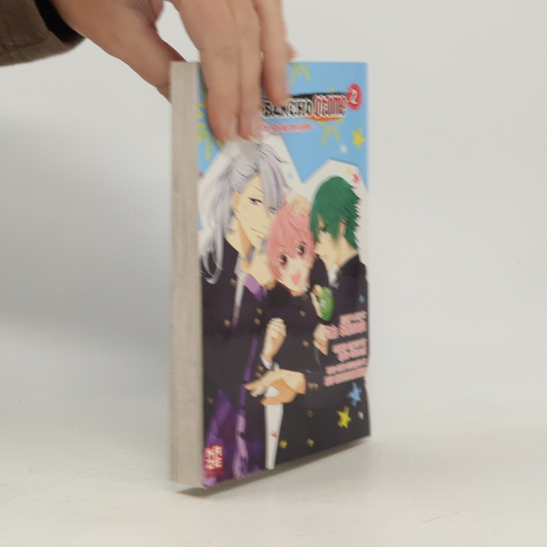 Chie Shimada Kenka bancho otome 2