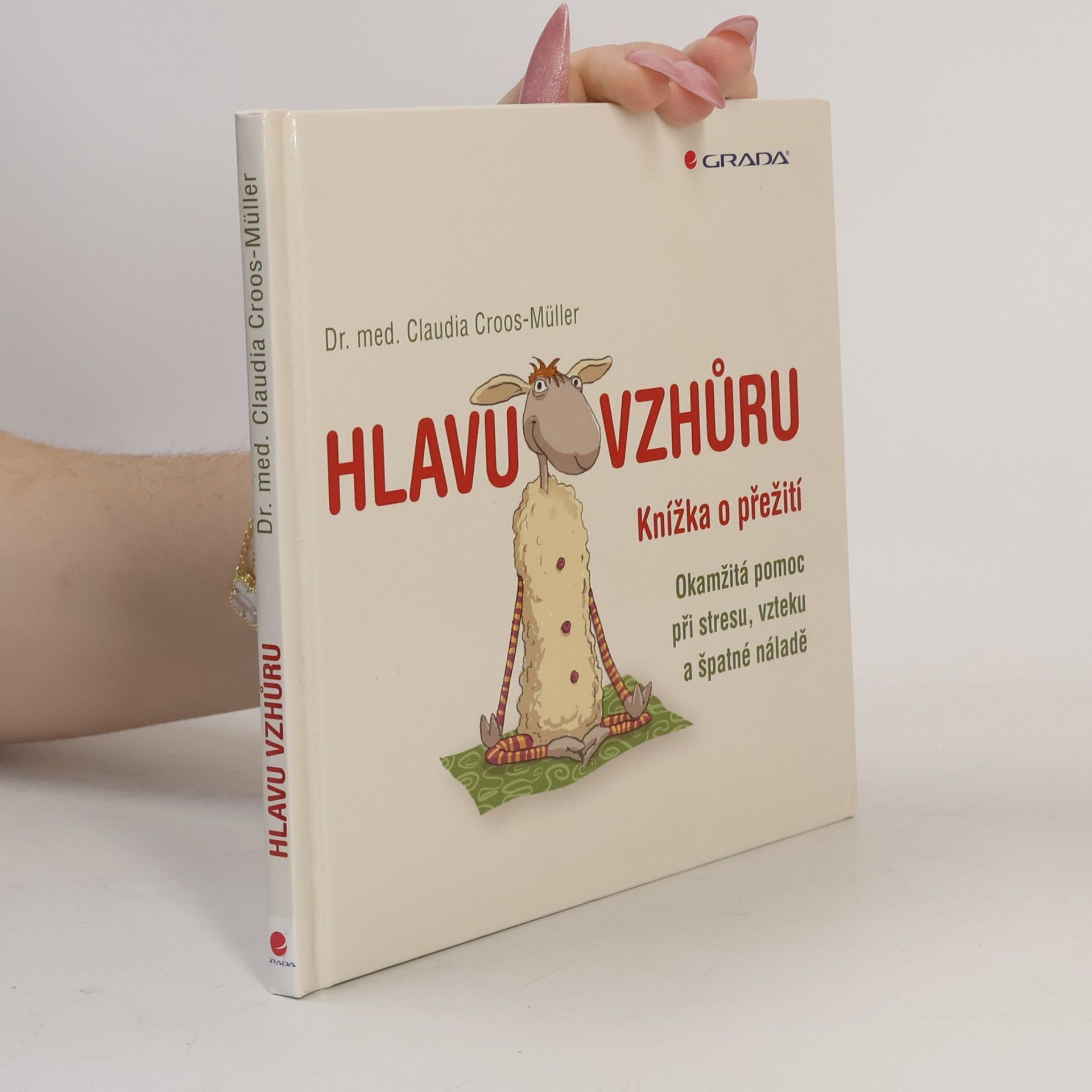 Hlavu vzhůru: Knížka o přežití : okamžitá pomoc při stresu, vzteku a špatné náladě