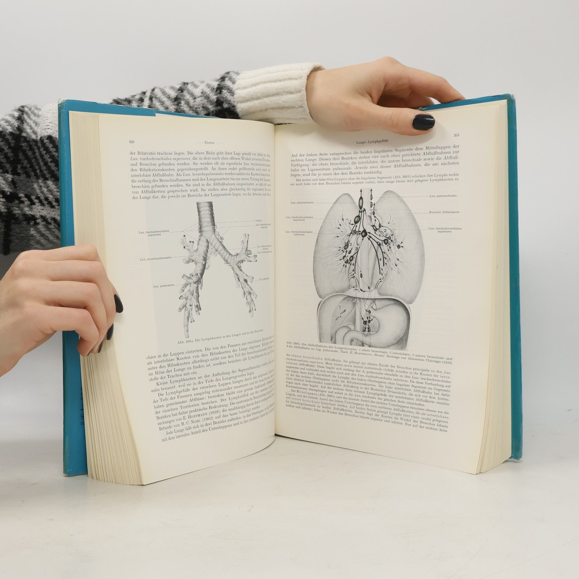 Anton Hafferl Lehrbuch der topographischen Anatomie