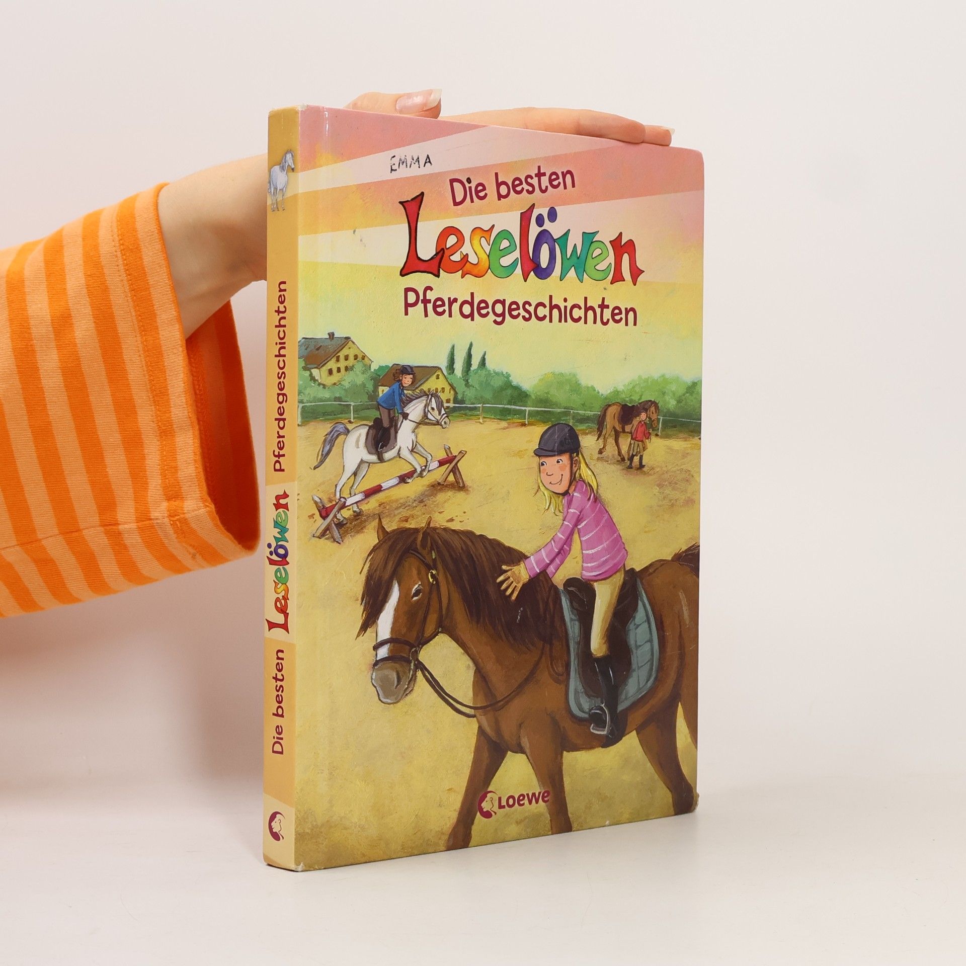 Die besten Leselöwen Pferdegeschichten