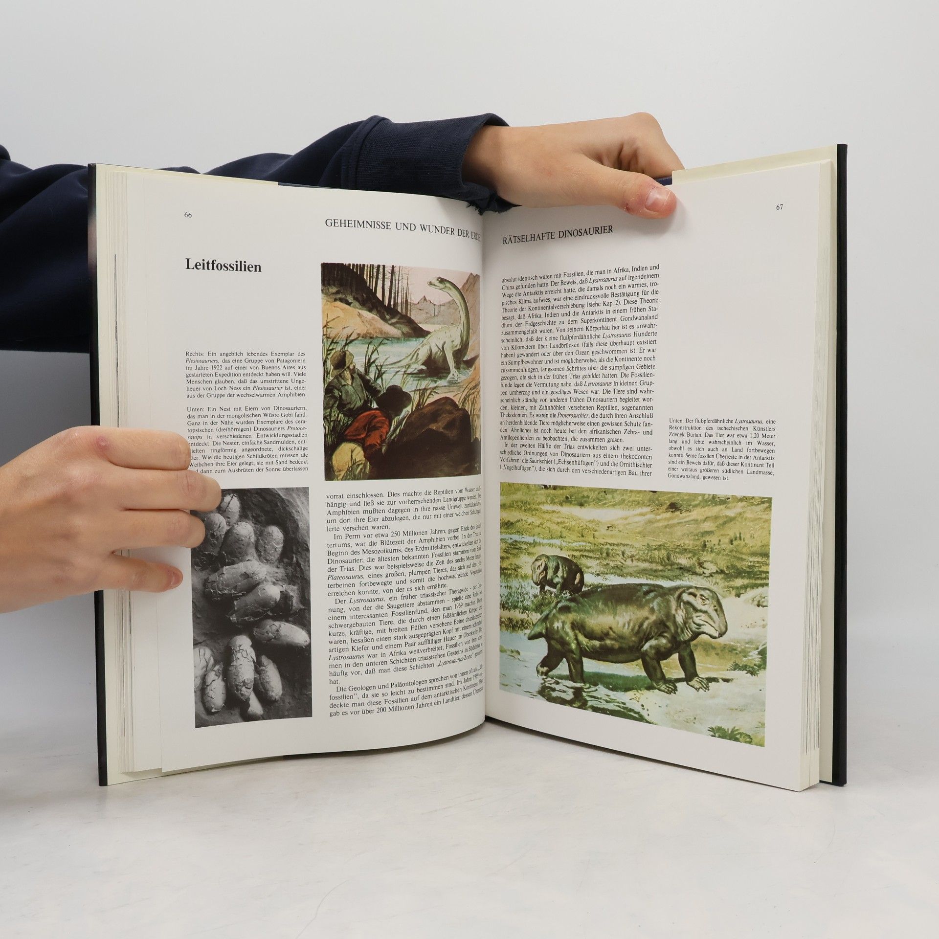 Autorenkollektiv Geheimnisse und Wunder der Erde