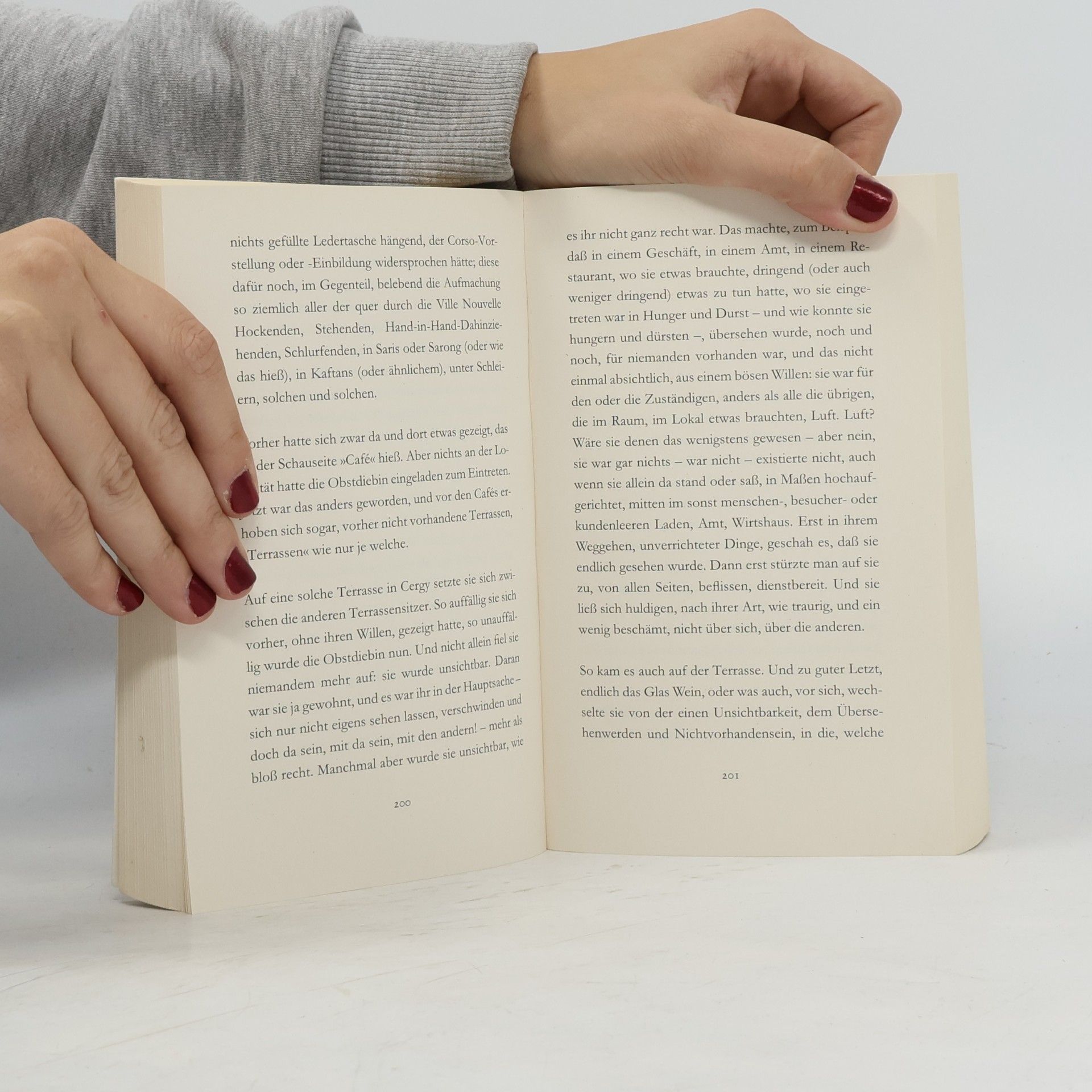 Peter Handke Die Obstdiebin oder Einfache Fahrt ins Landesinnere
