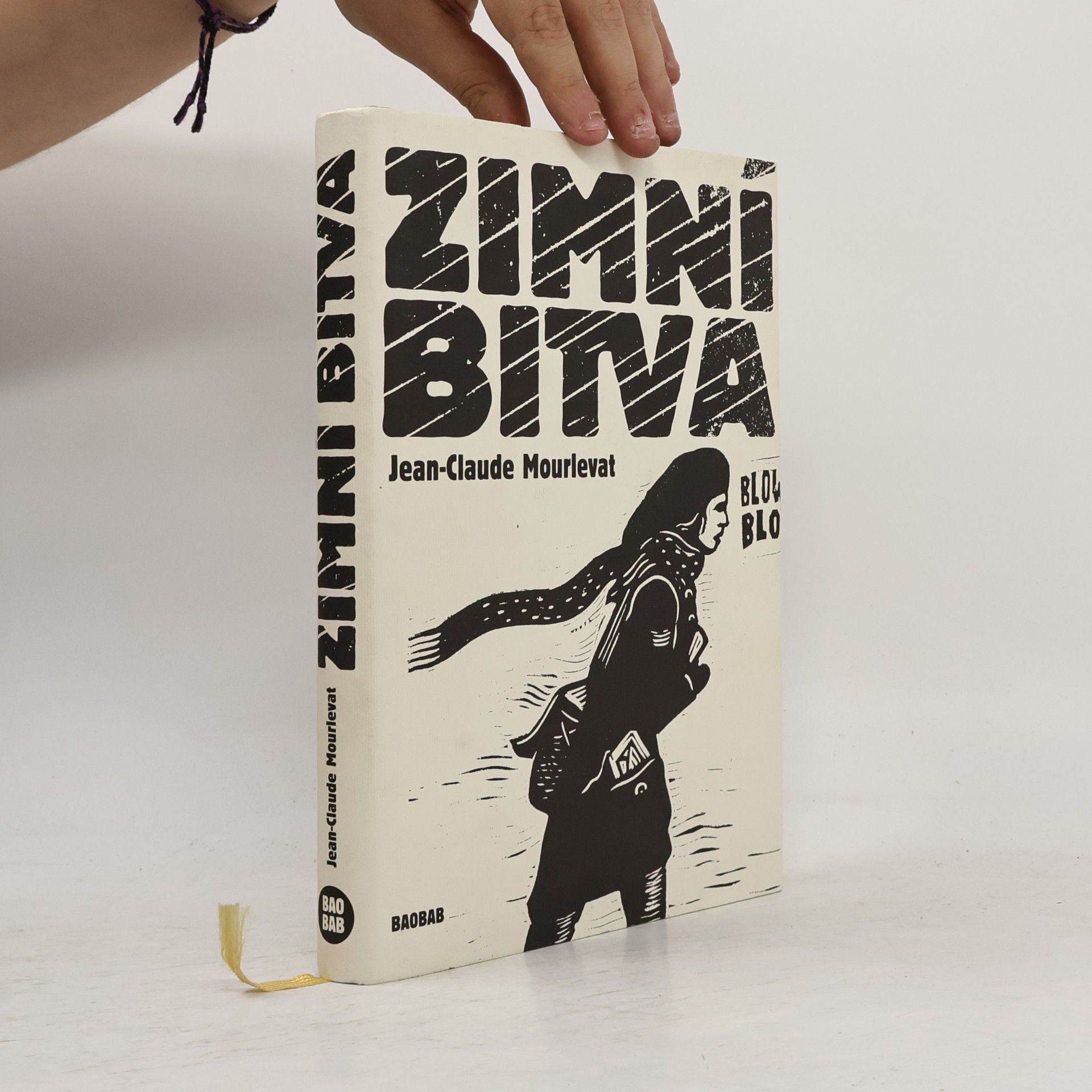 Zimní bitva