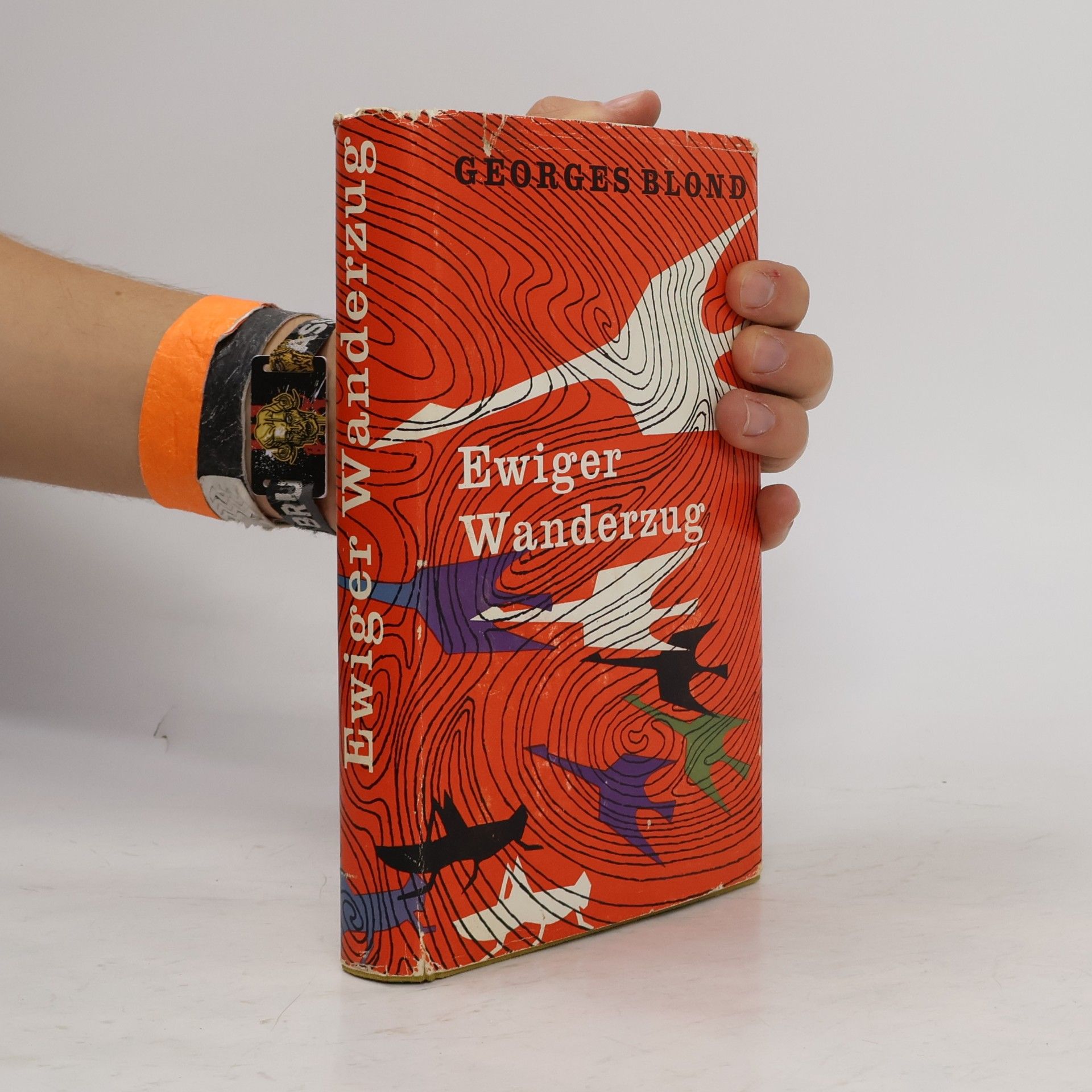 Ewiger Wanderzug