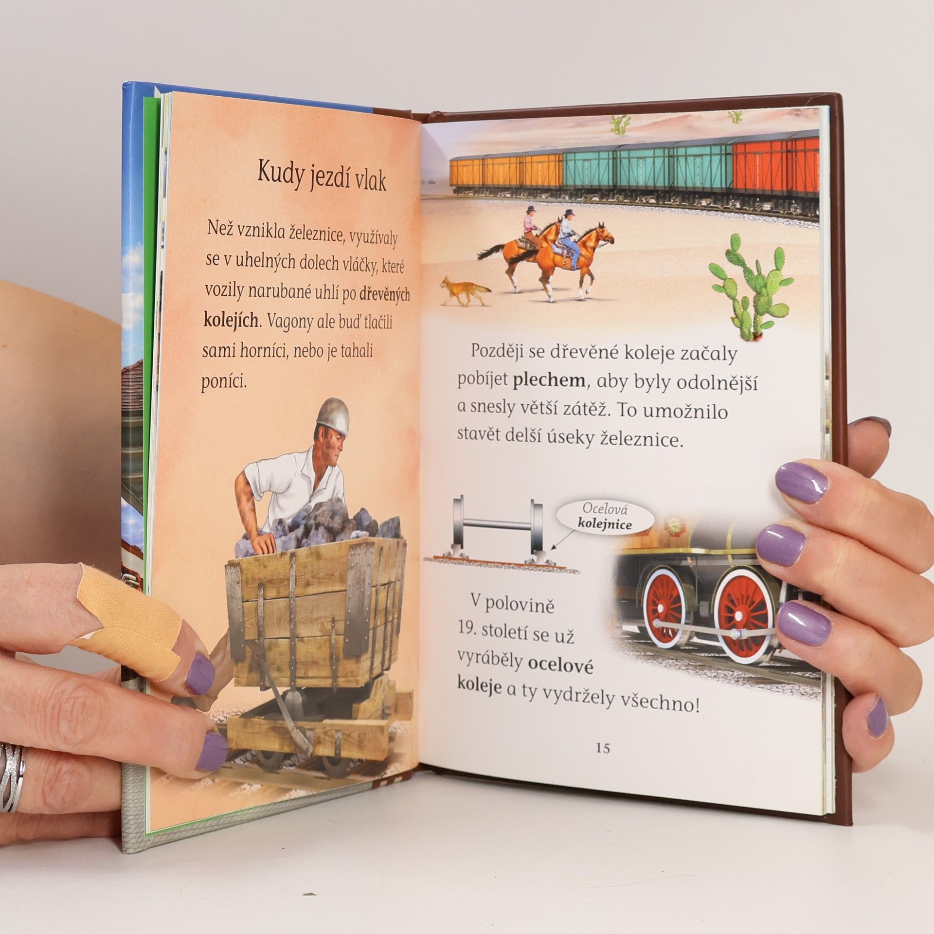Hana Jovanovičová Vlaky : Historie a vývoj vlaků