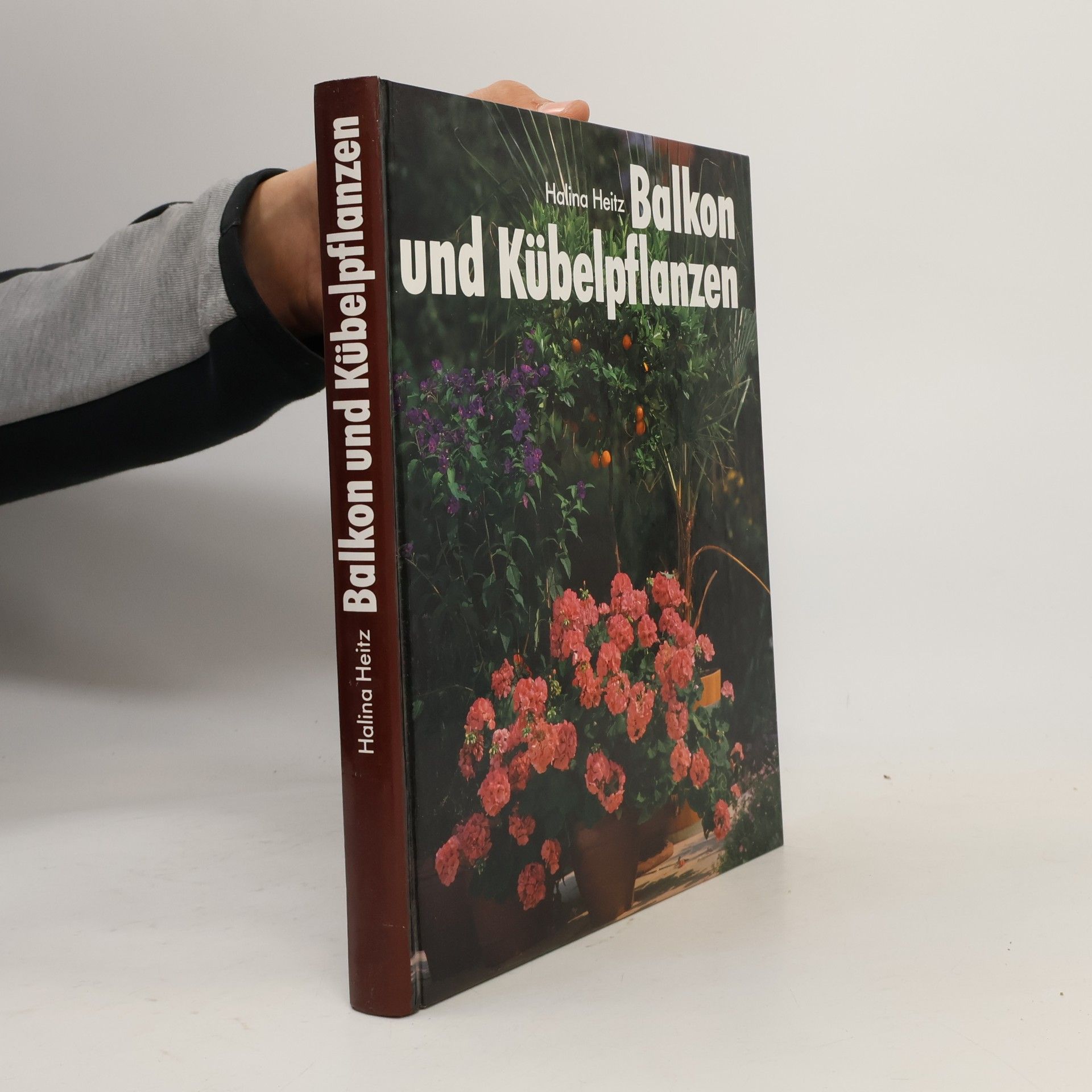 Halina Heitz Balkon und Kübelpflanzen