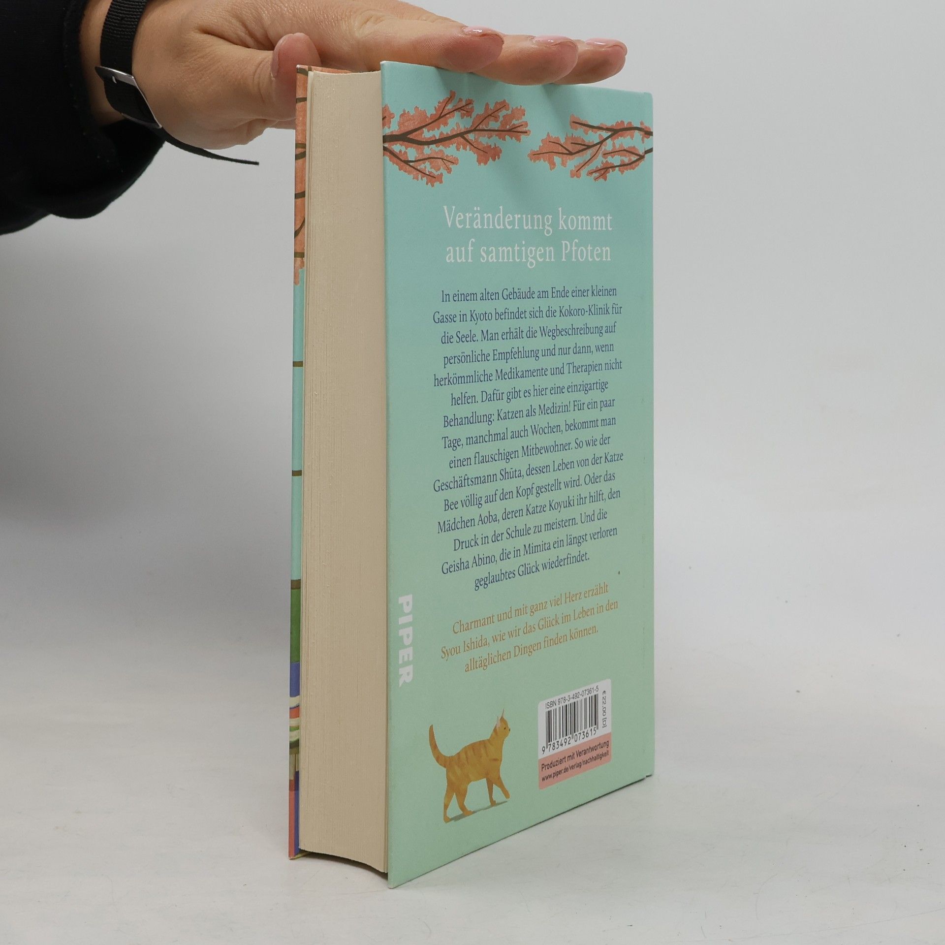 Yukiko Luginbühl Das Glück bringt eine Katze