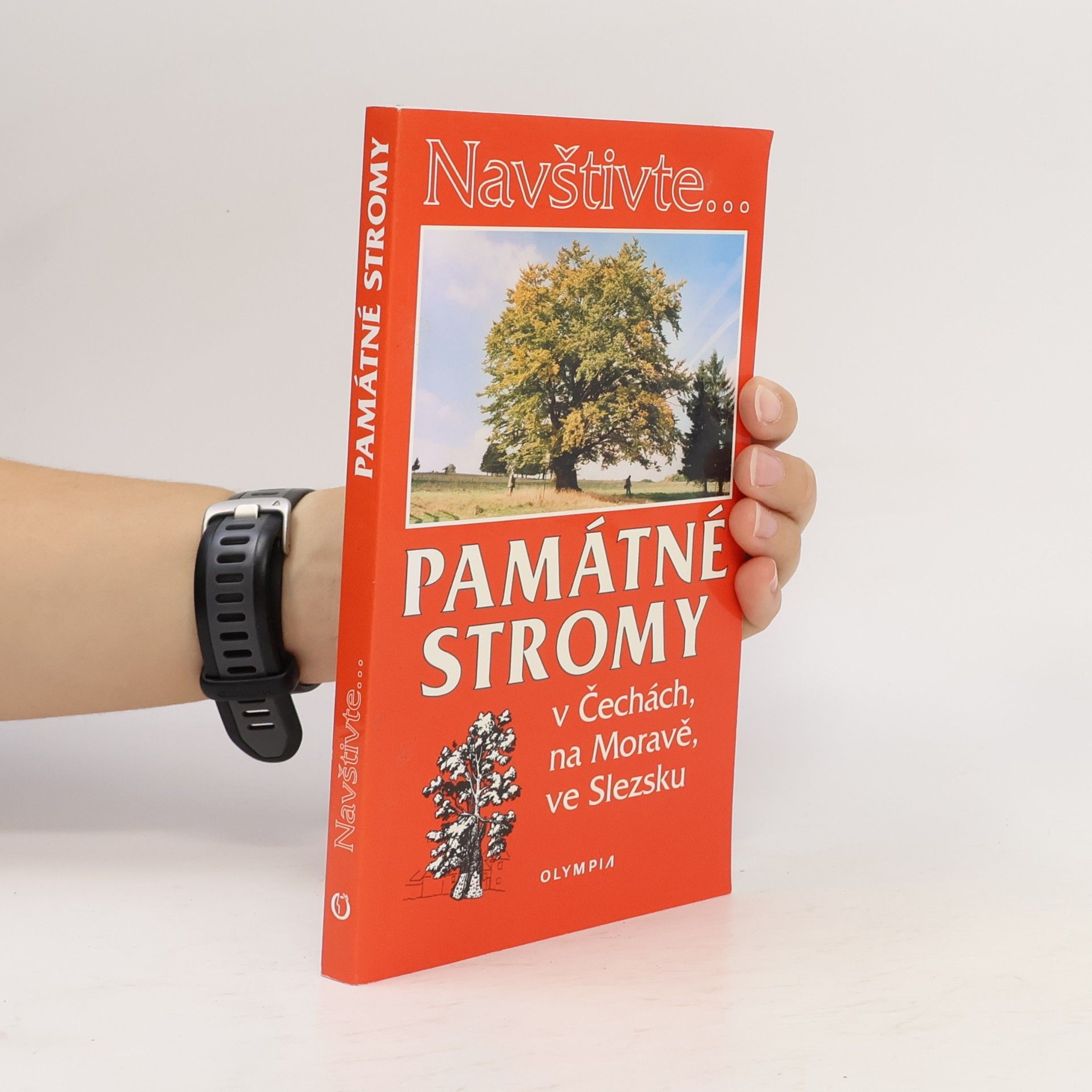 Památné stromy v Čechách, na Moravě, ve Slezsku