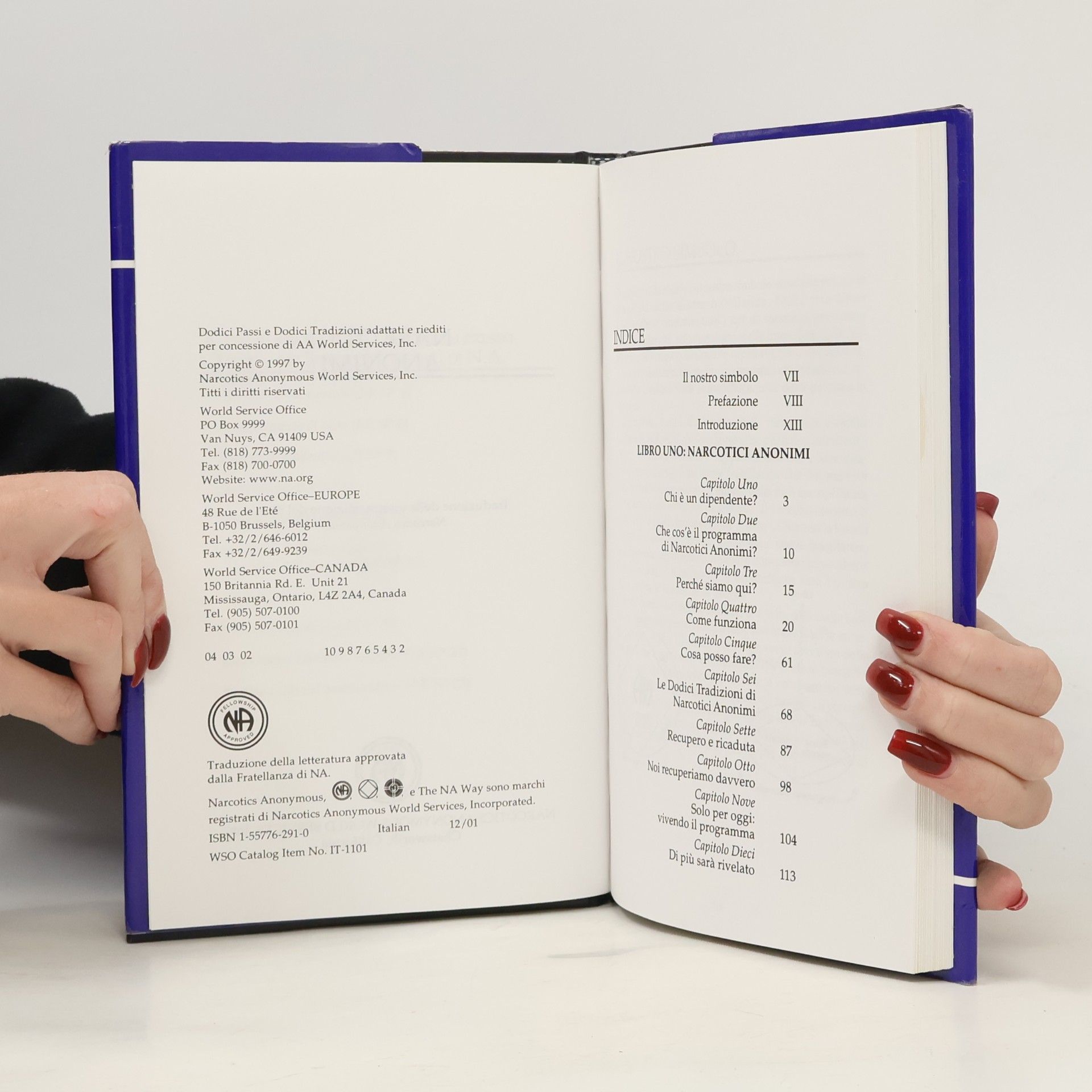Autorenkollektiv Narcotics Anonymous / Narcotici Anonimi