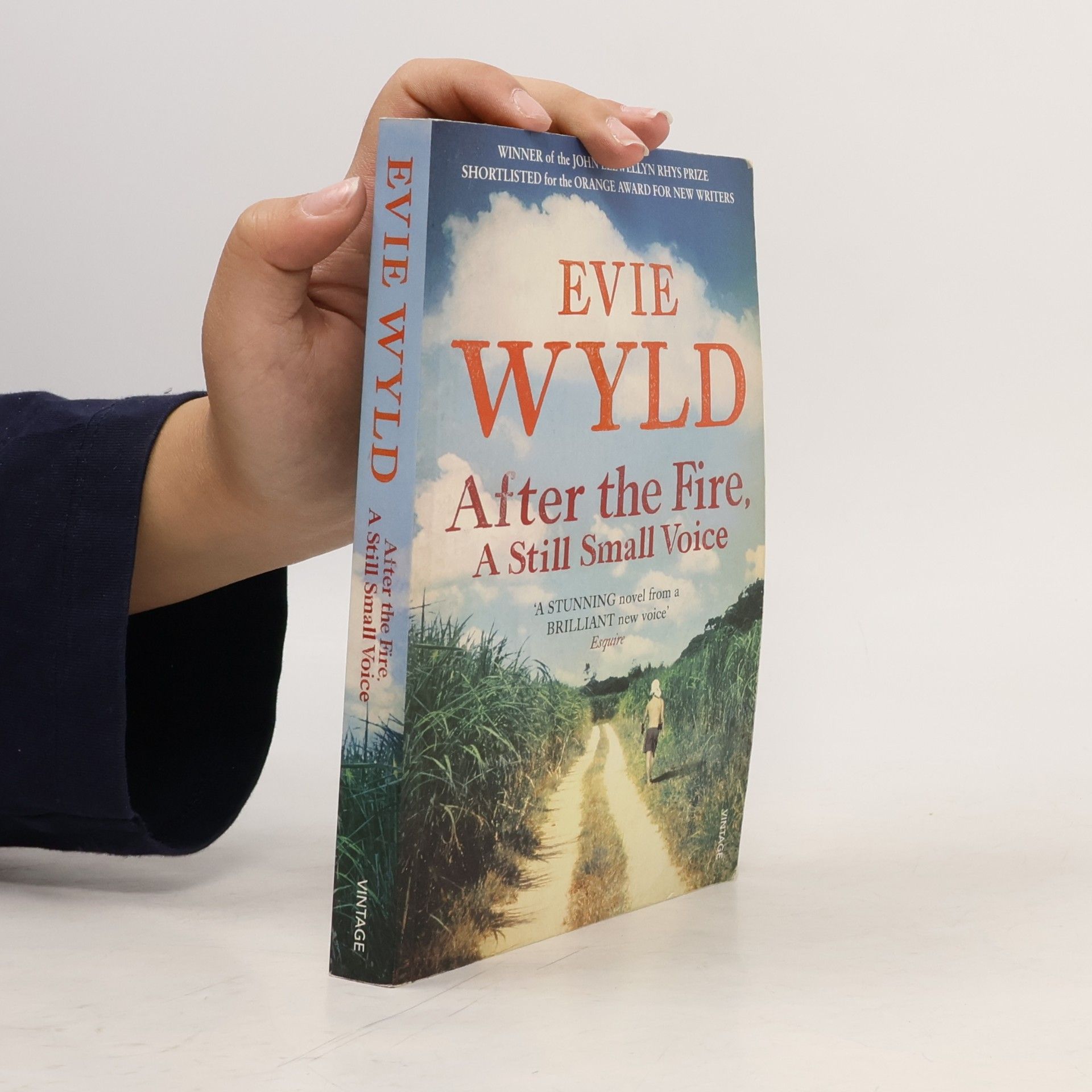 After the Fire, A Still Small Voice