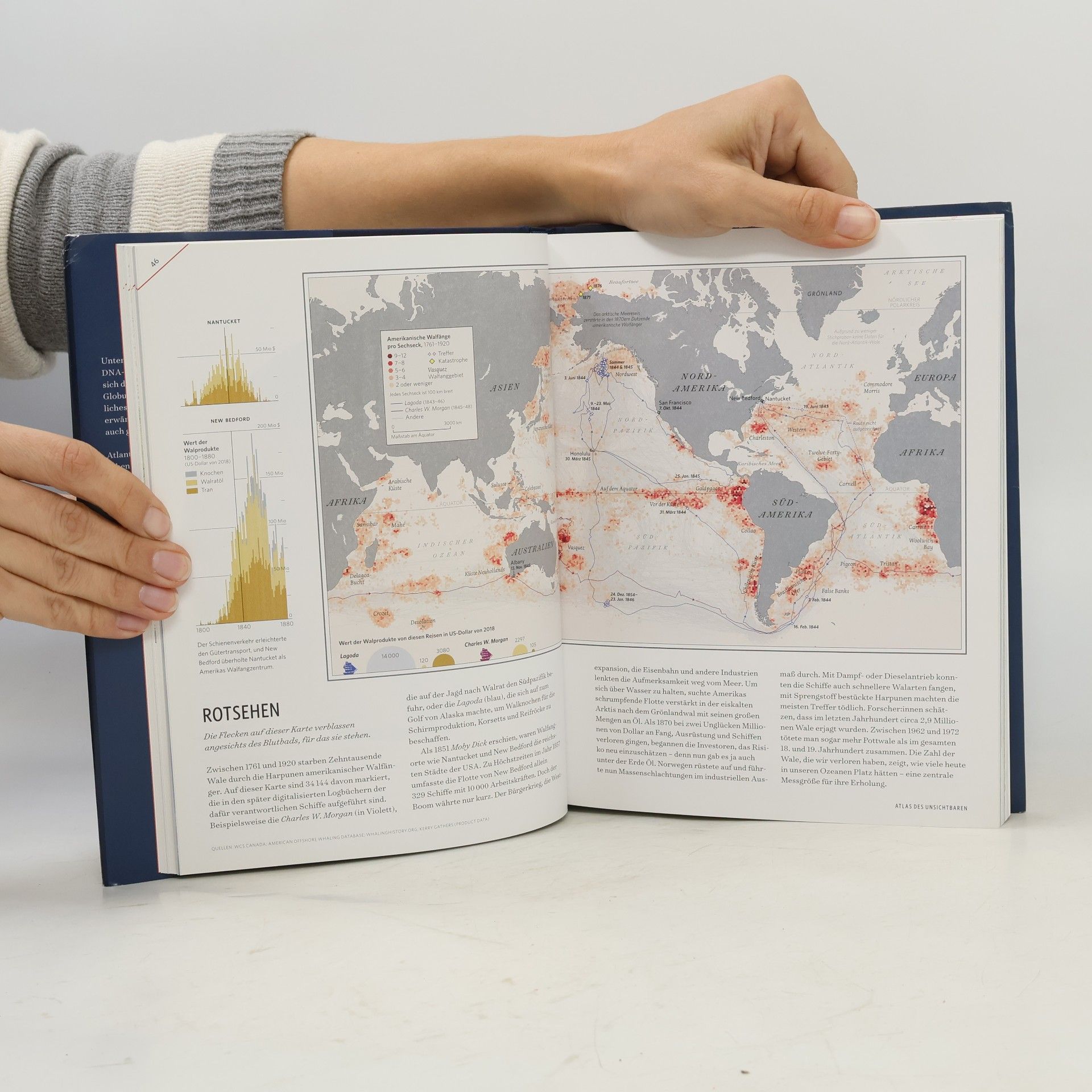 James Cheshire Atlas des Unsichtbaren
