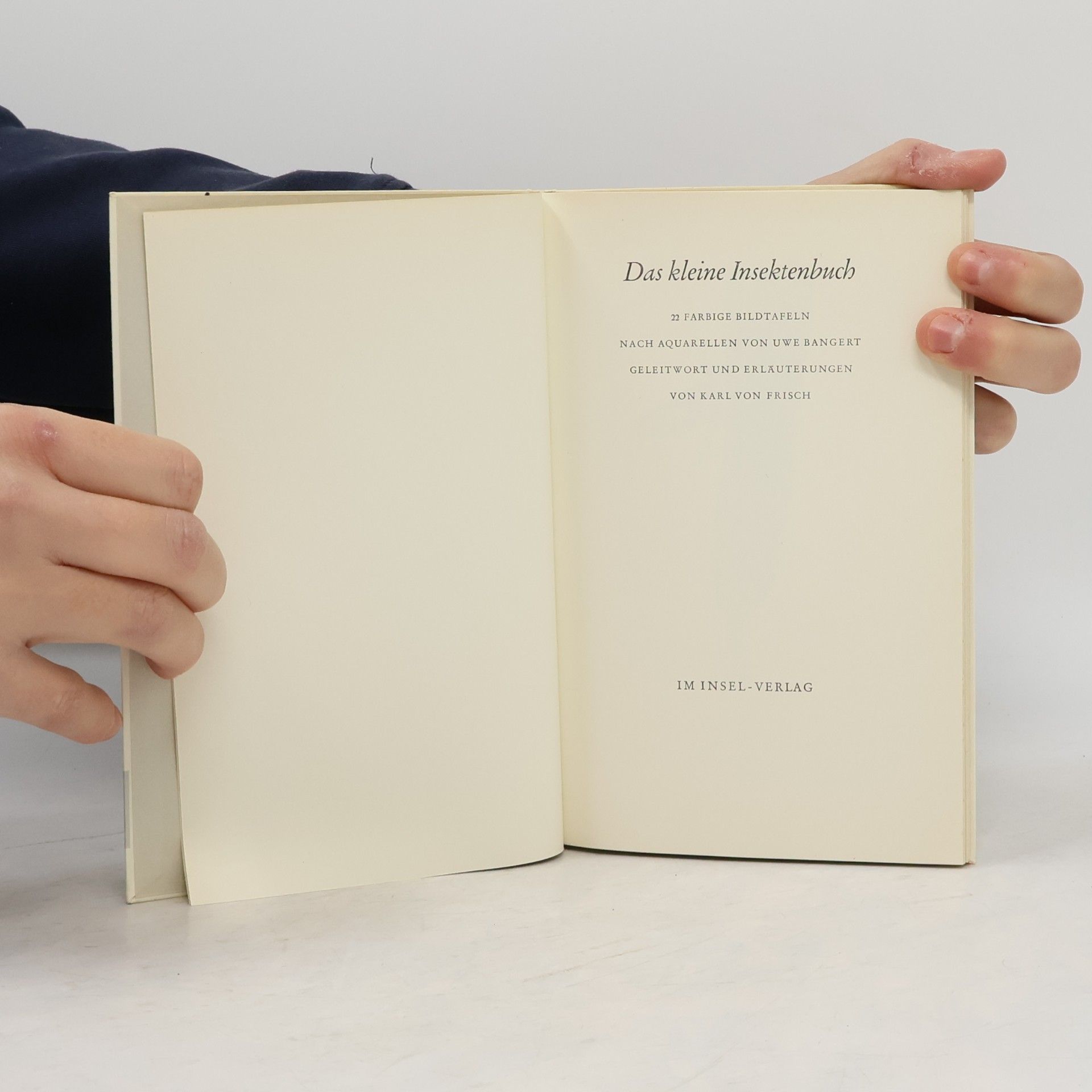 Collectif d'auteurs Das kleine Insektenbuch