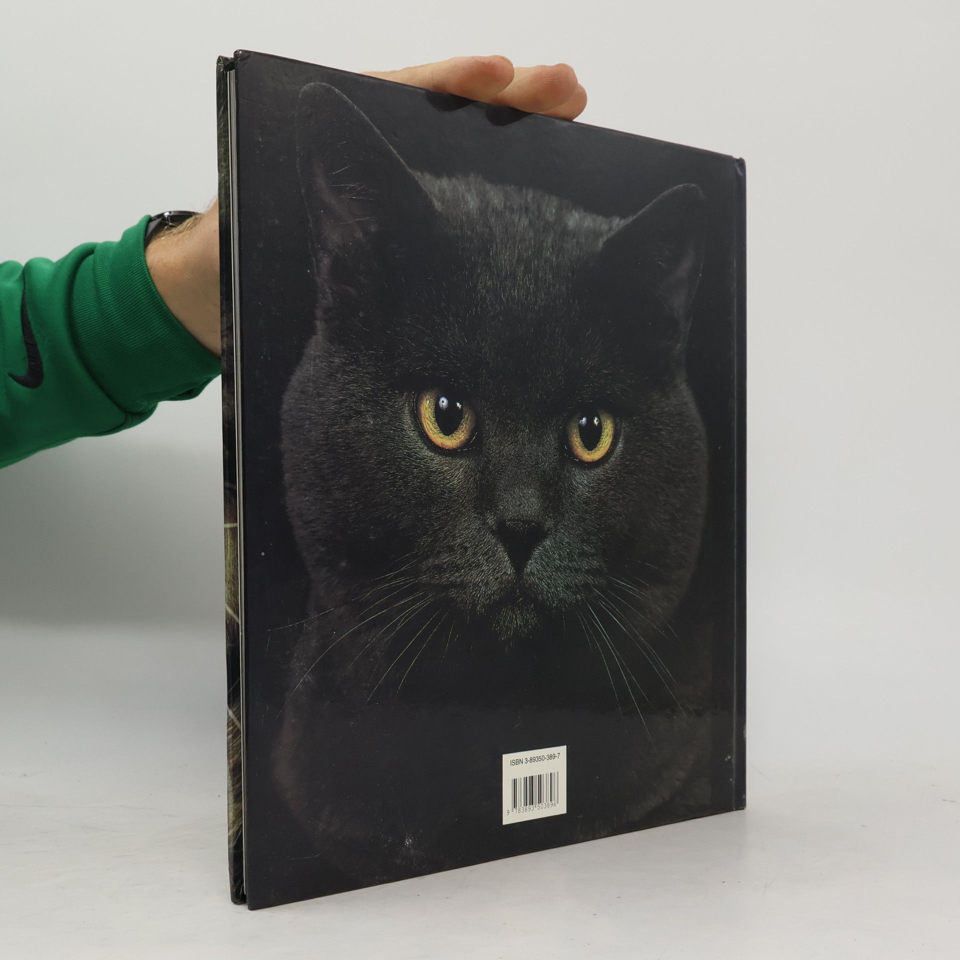 Adriano Bacchella Ich, Katze