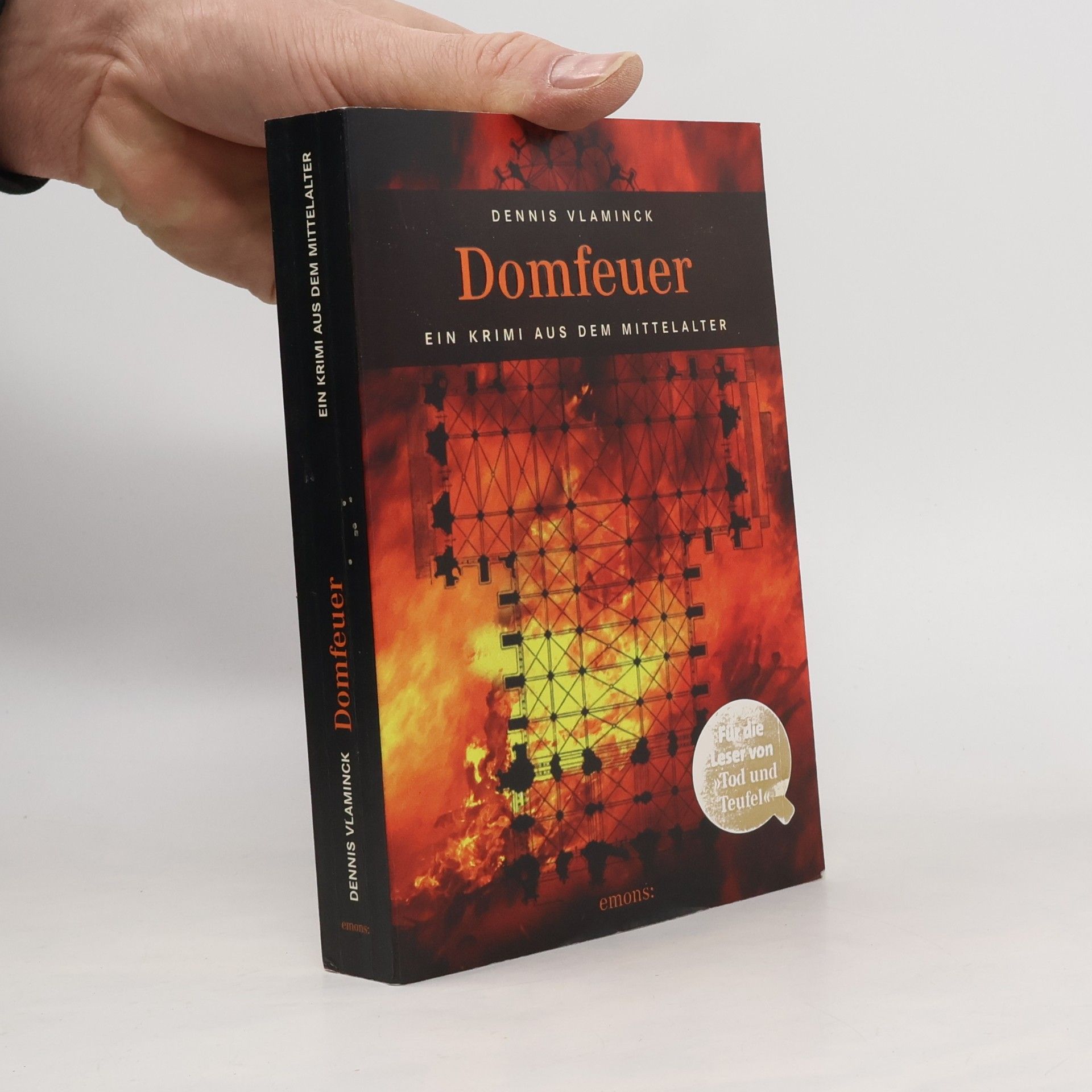 Dennis Vlaminck Domfeuer
