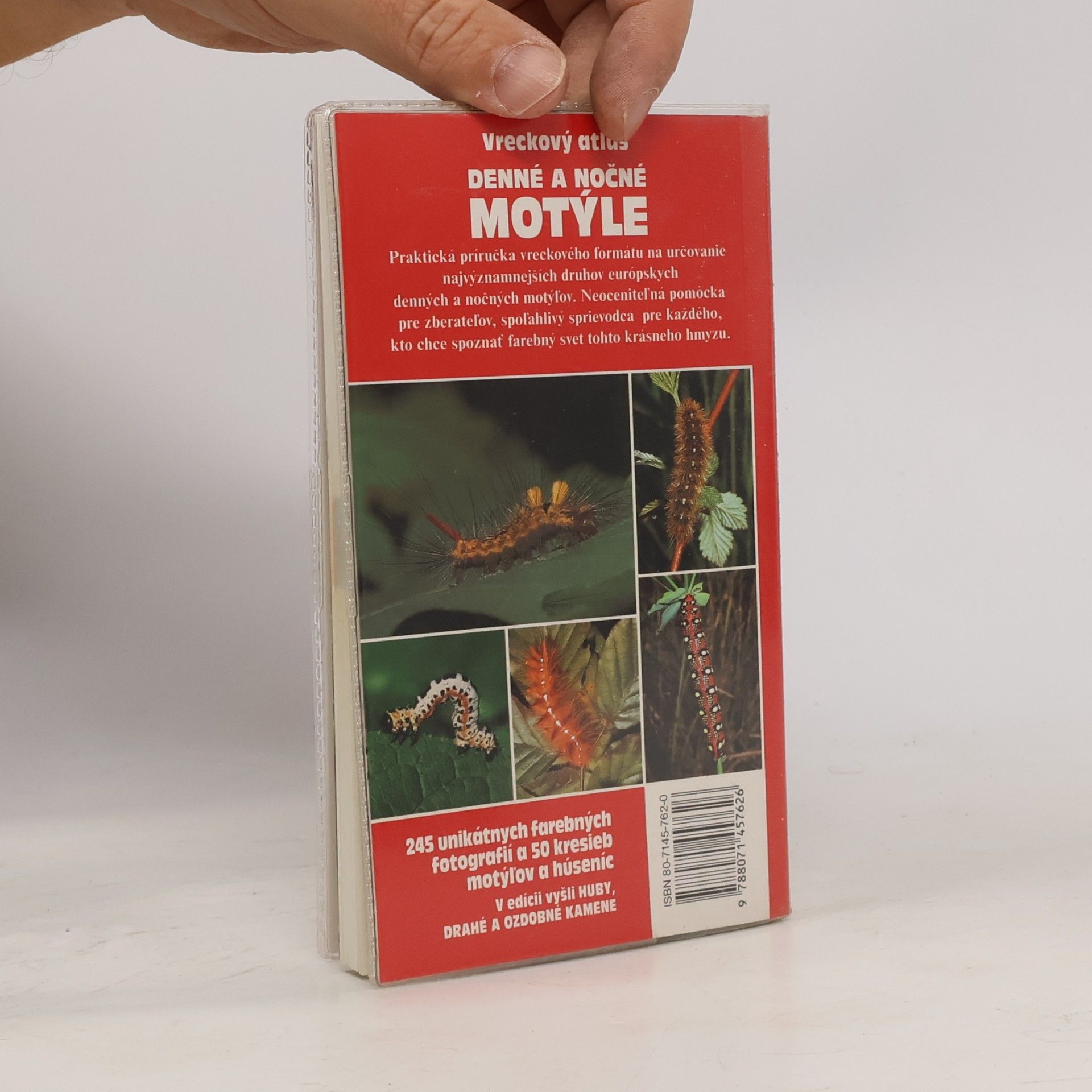 Helga Hofmann Denné a nočné motýle. Vreckový atlas