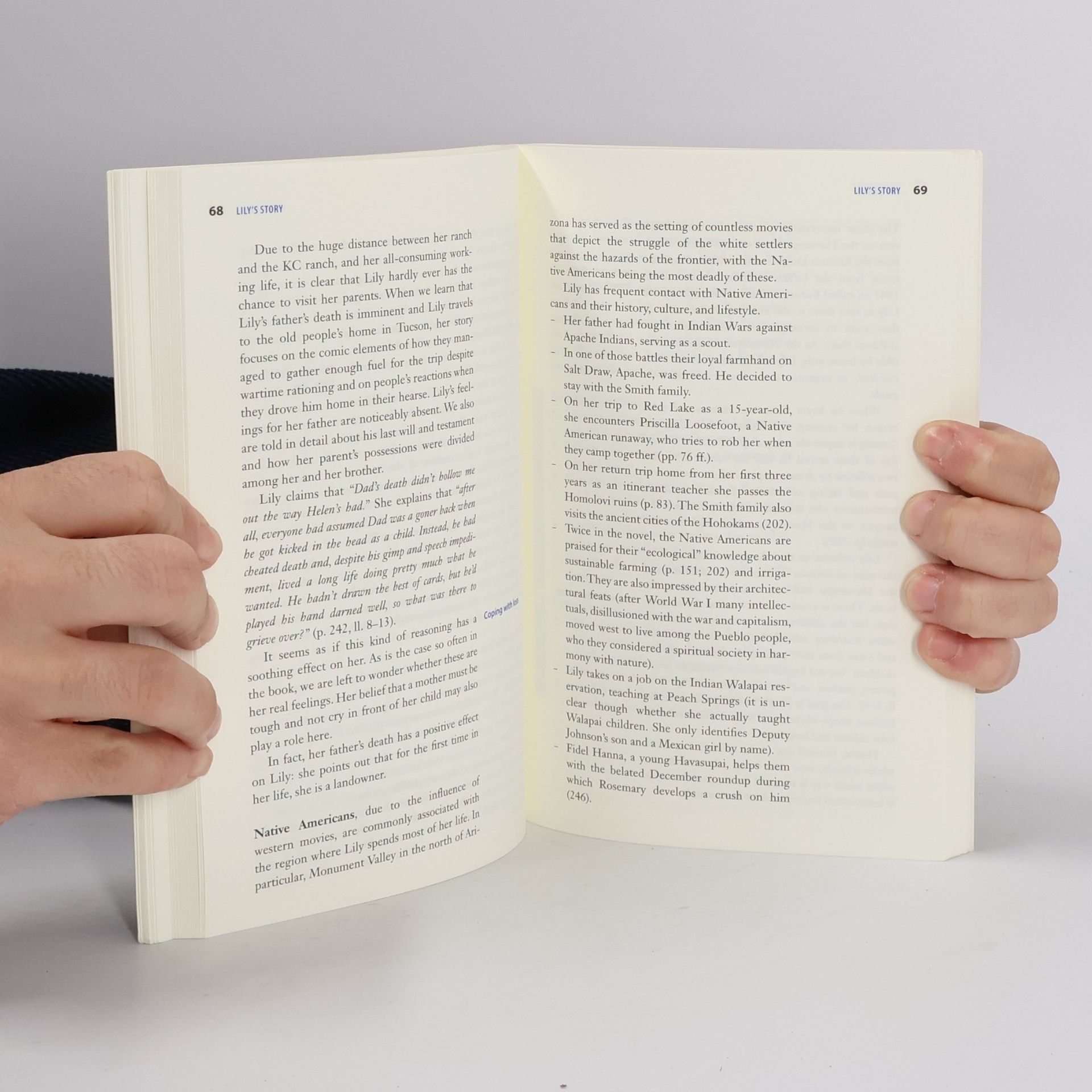 Michael Thürwächter Jeannette Walls: Half Broke Horses