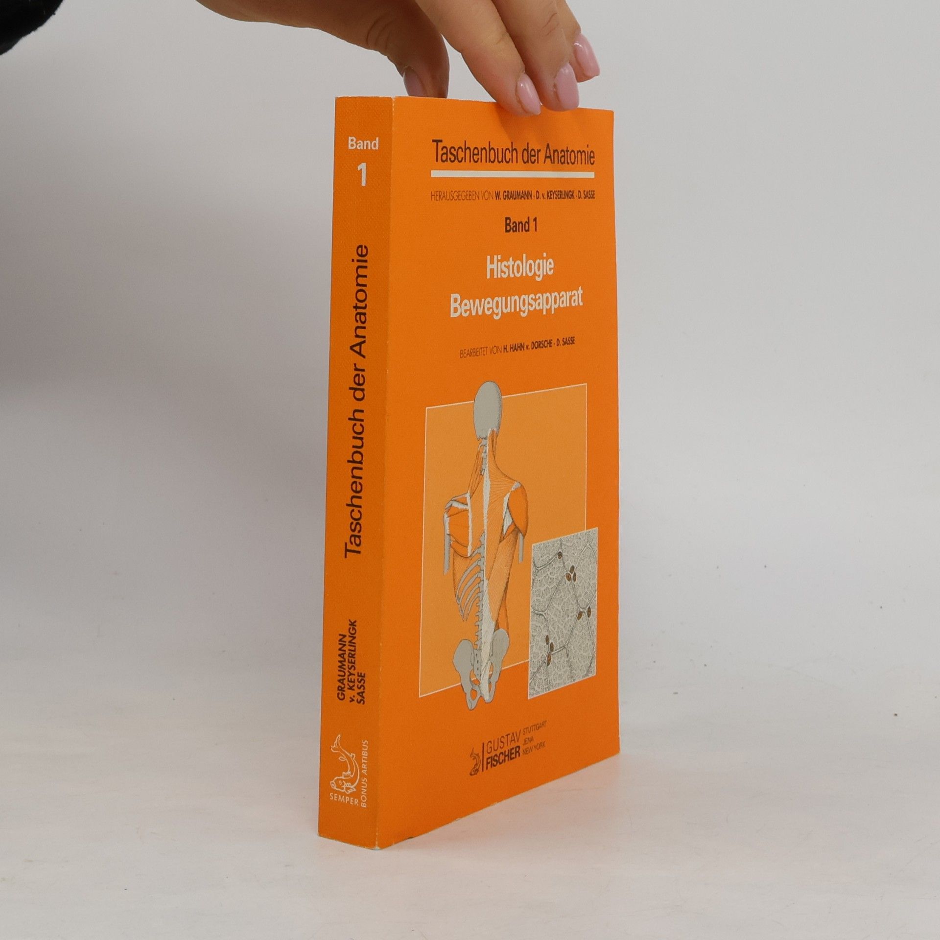 Taschenbuch der Anatomie
