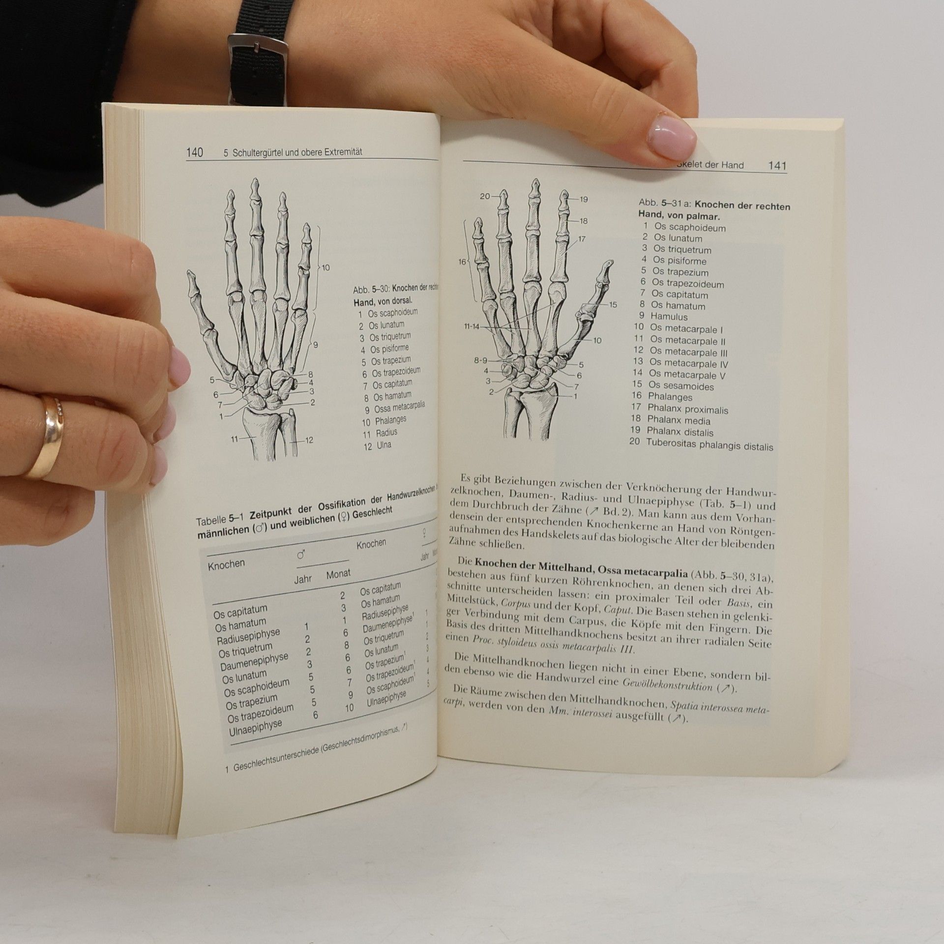 Herwig Hahn von Dorsche Taschenbuch der Anatomie