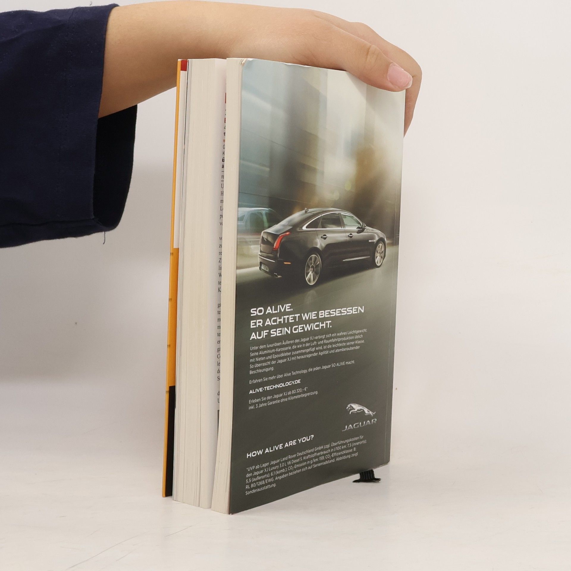 Autorenkollektiv Gault & Millau Deutschland 2015