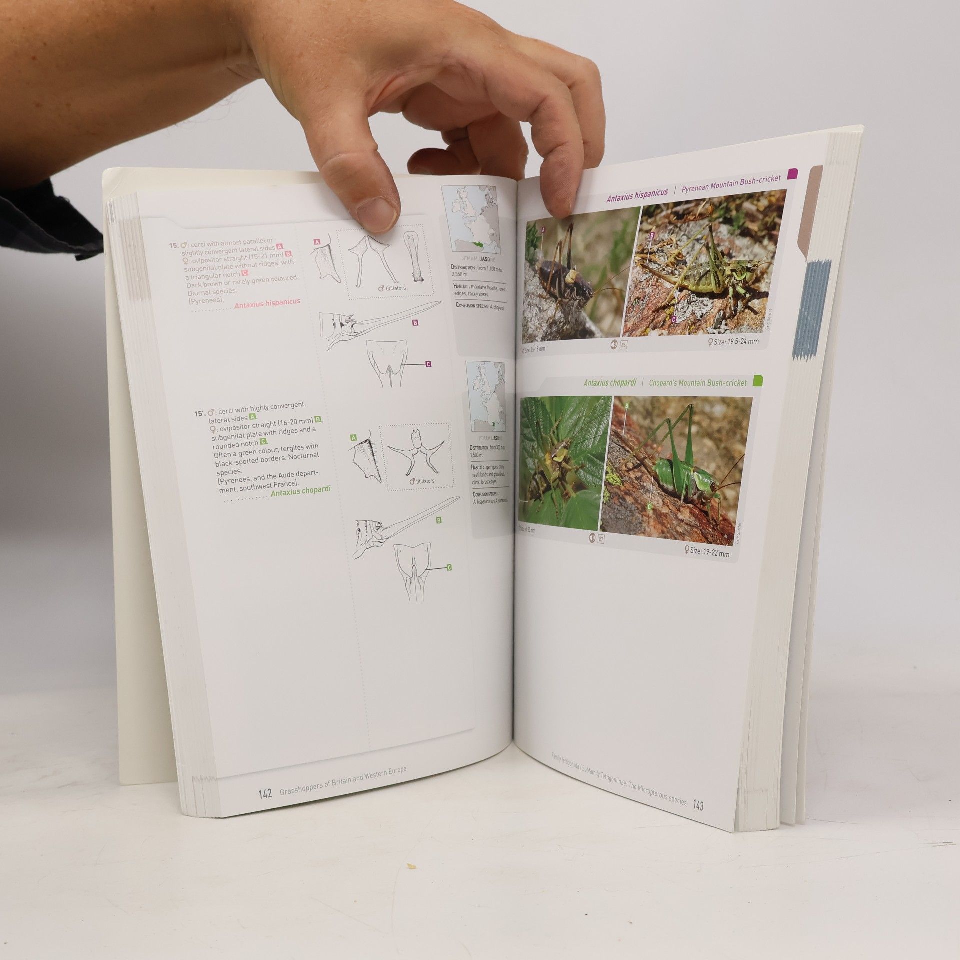 Éric Sardet Bloomsbury Naturalist: Grasshoppers of Britain and Western Europe