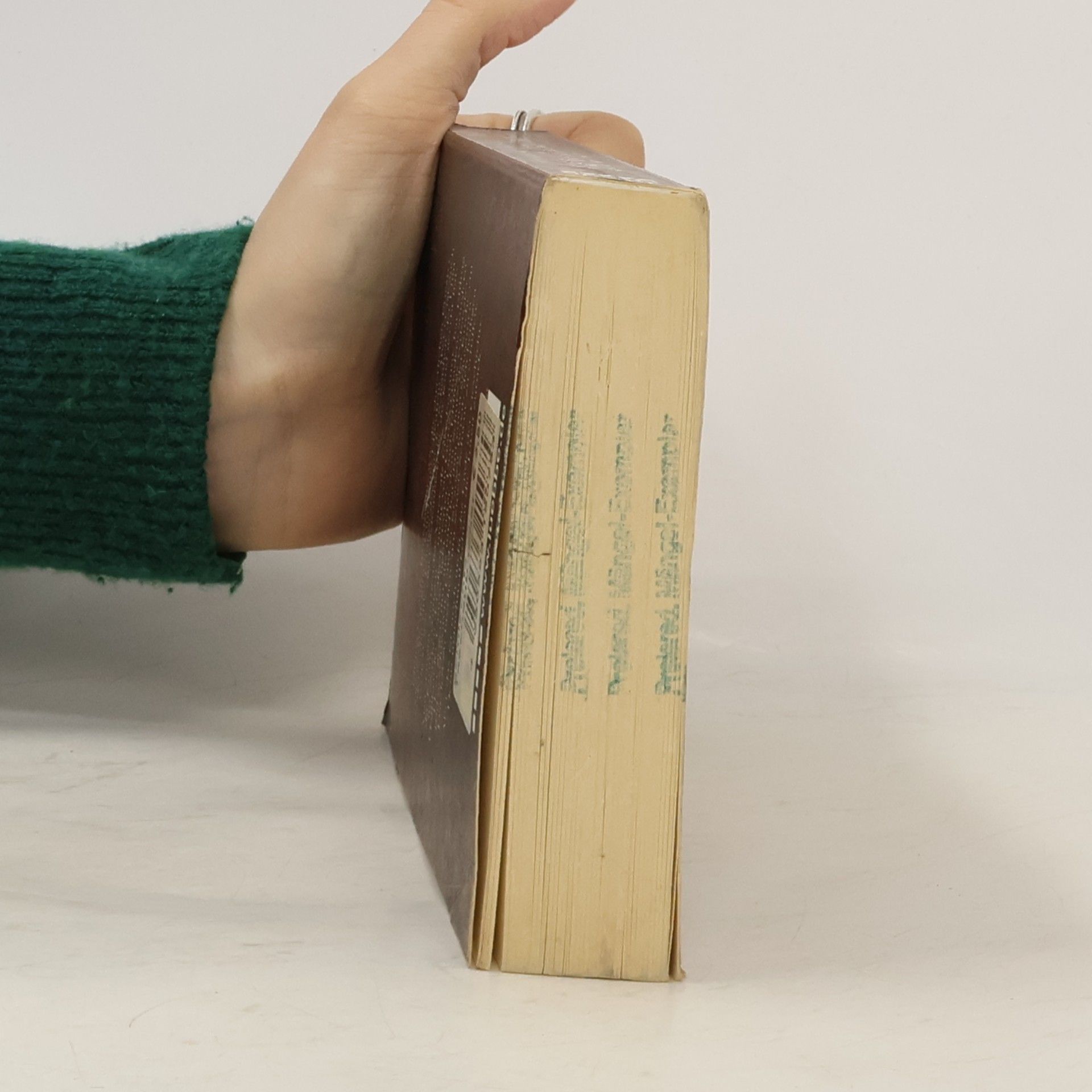 Susan Price Elfling - Das Heer der Toten. Roman