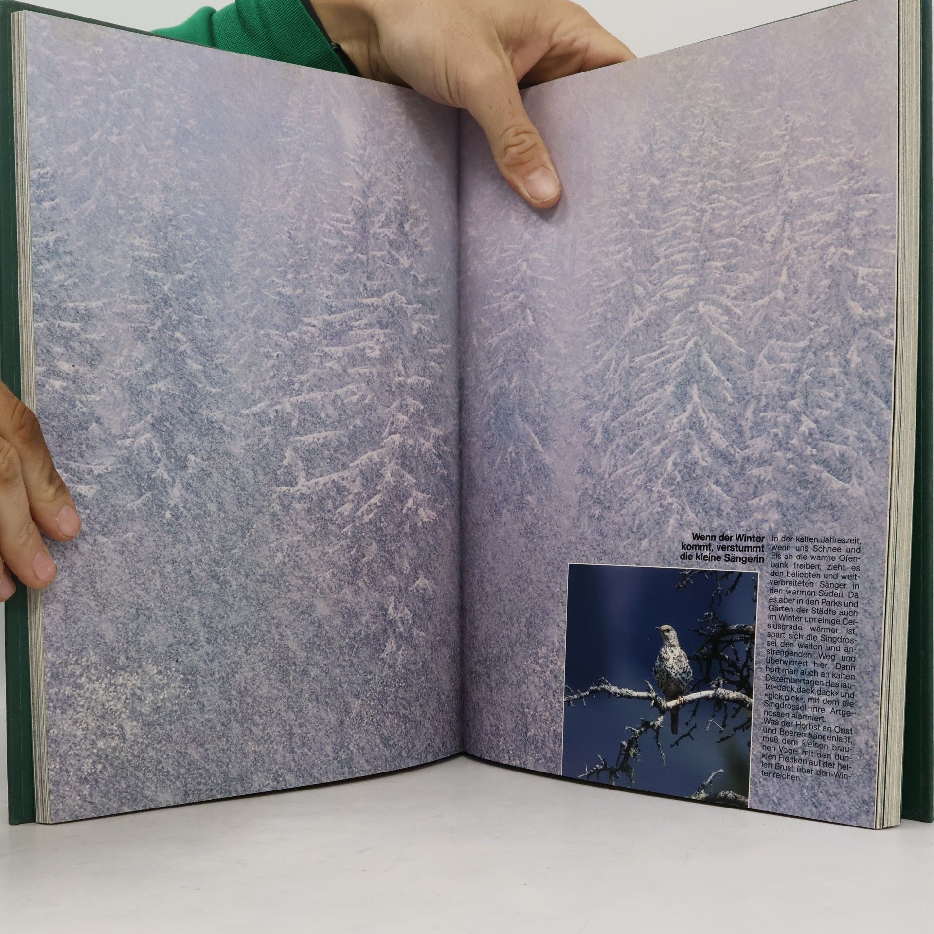 Autorenkollektiv Schütztunsere Schone Nature