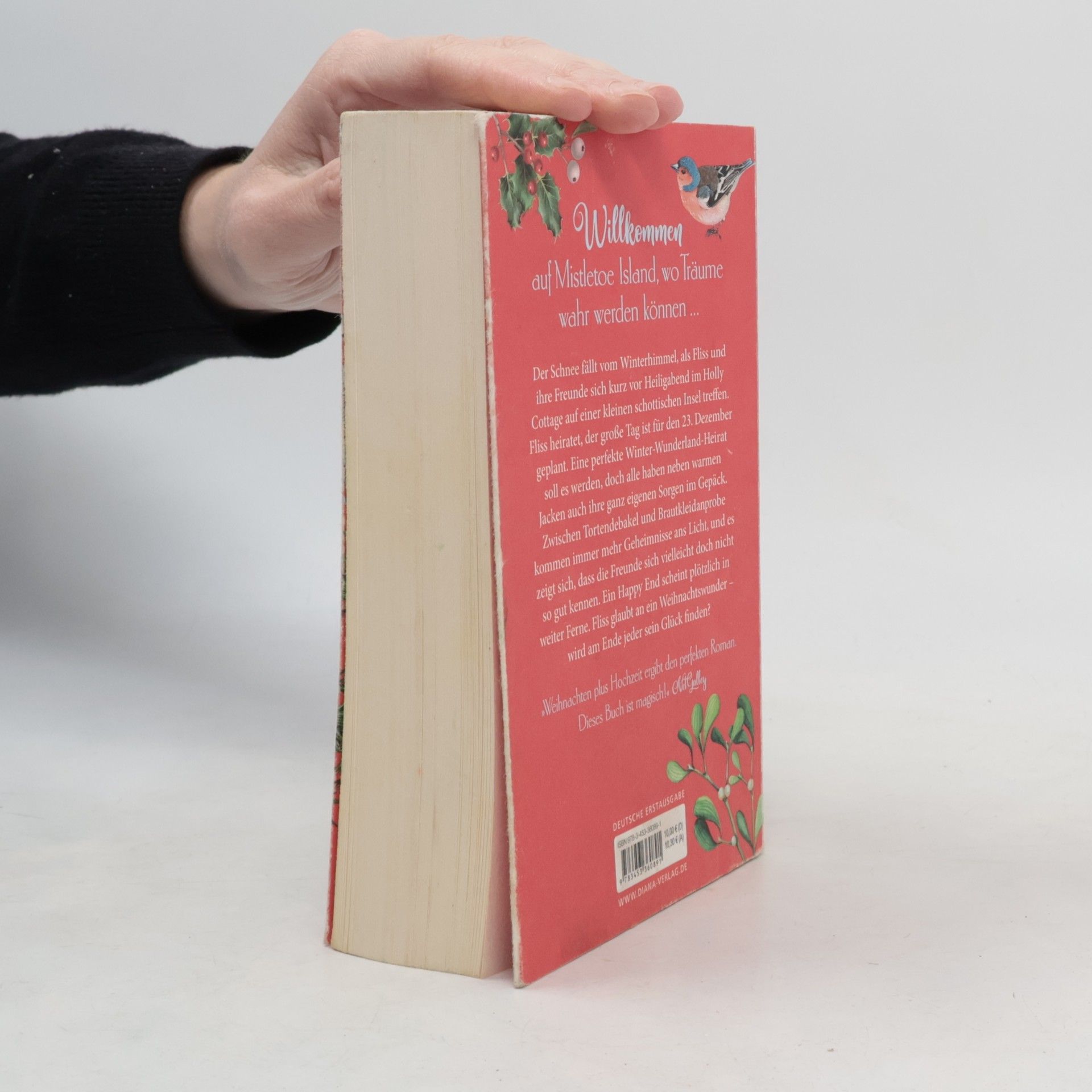 Sophie Pembroke Weihnachten auf Mistletoe Island