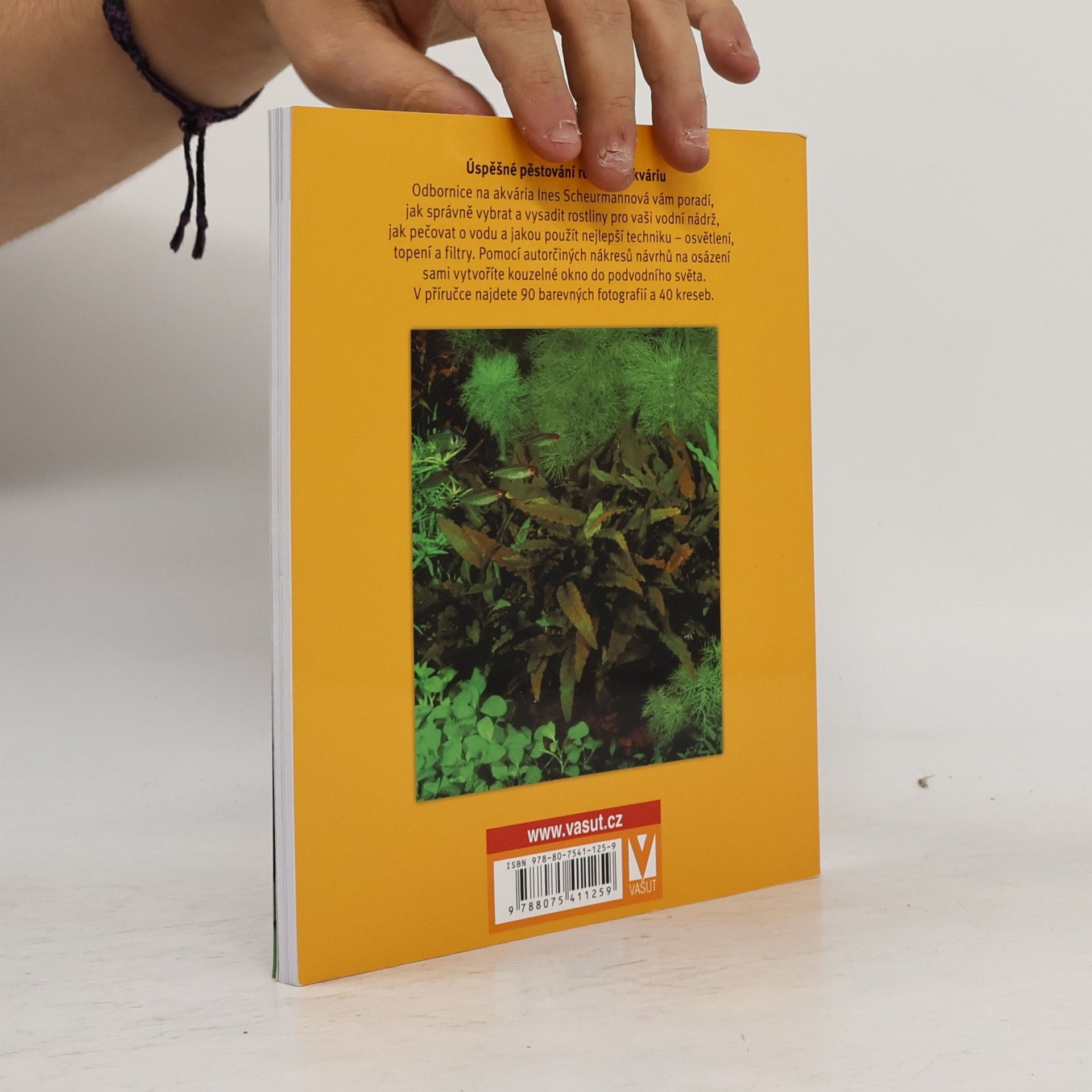 Autorenkollektiv Akvarijní rostliny. Odborný rádce pro výběr, výsadbu, pěstování a množení