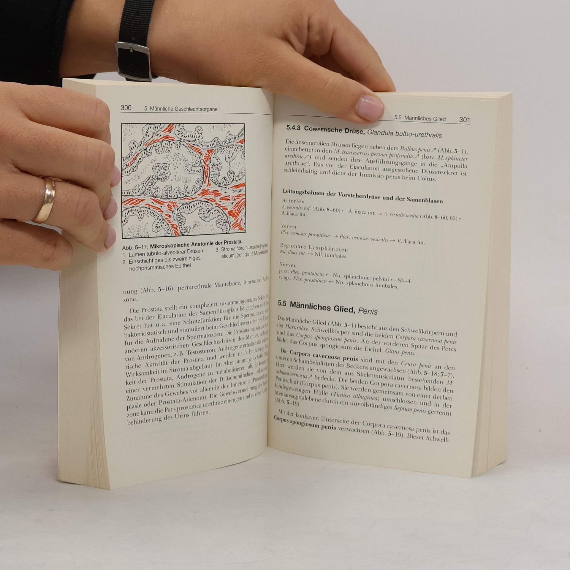Walther Graumann Taschenbuch der Anatomie