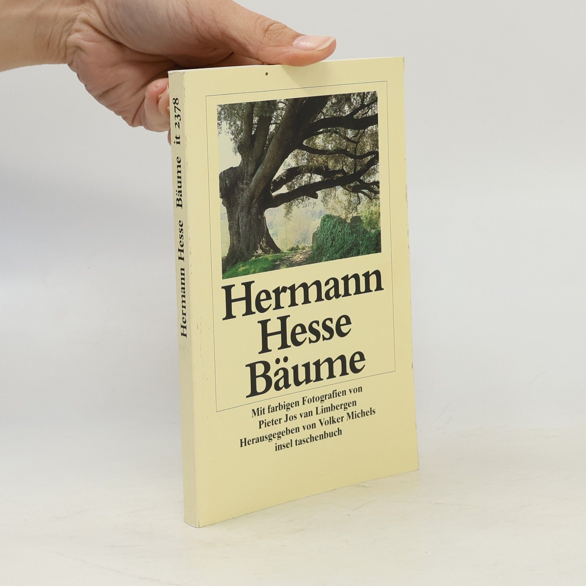 Hermann Hesse Bäume